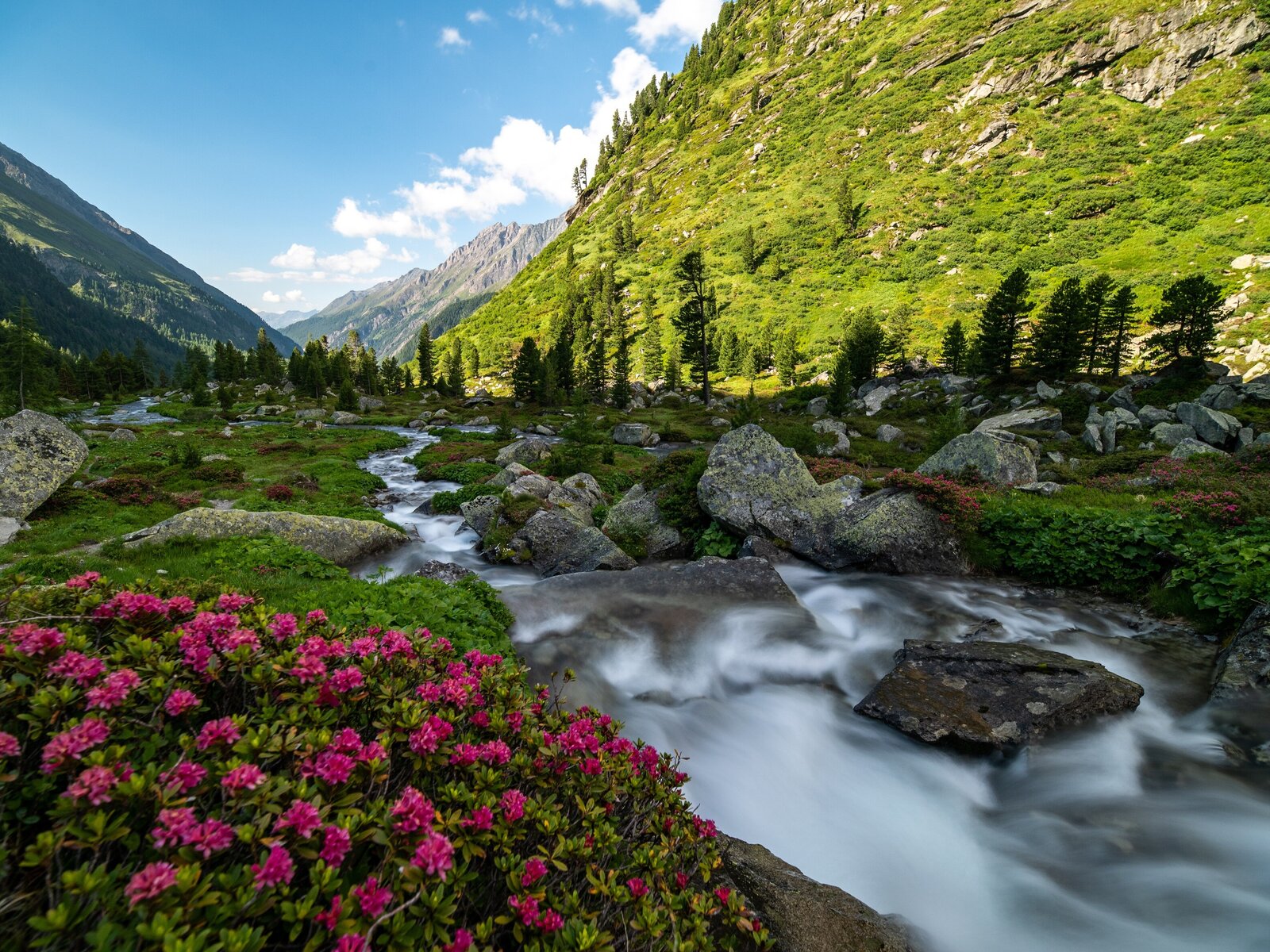 Landschaft