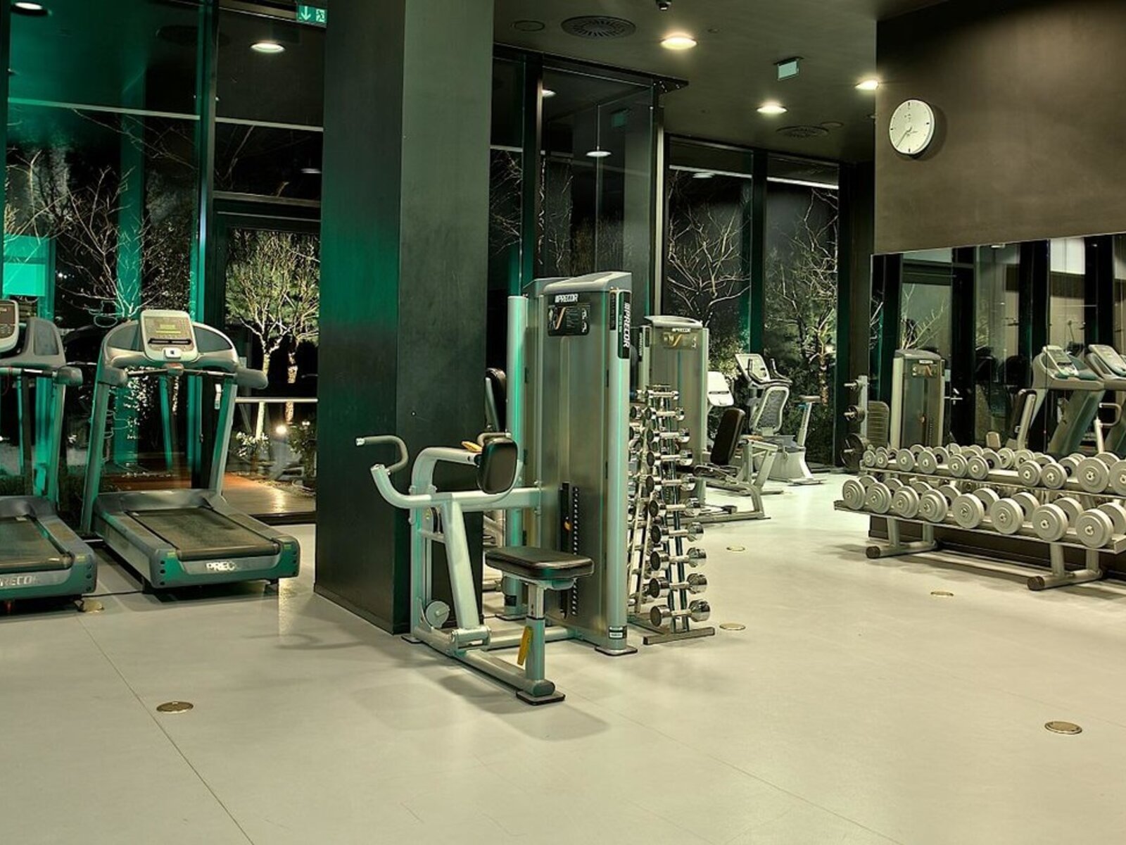 Sport