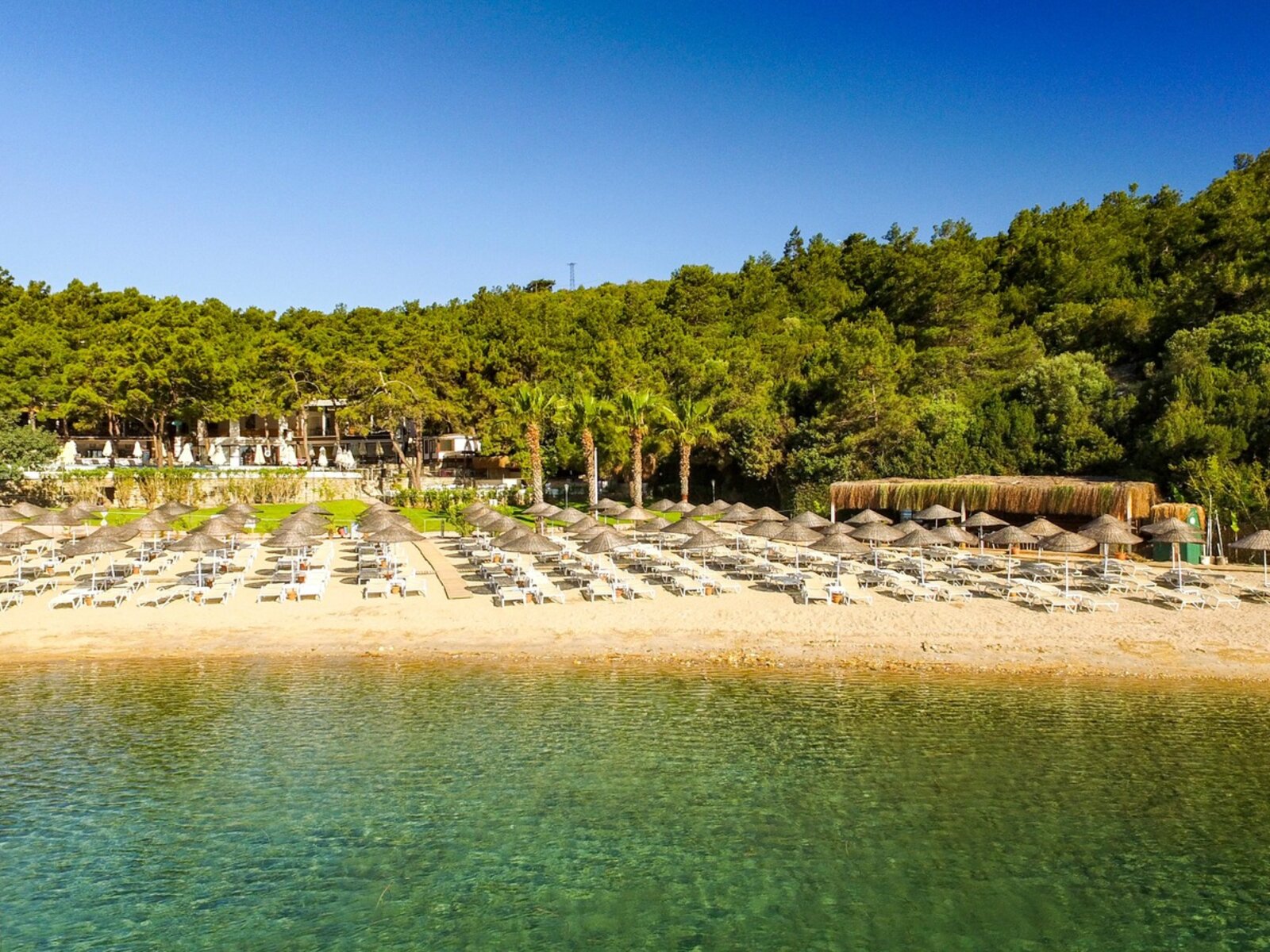 Park Beach
