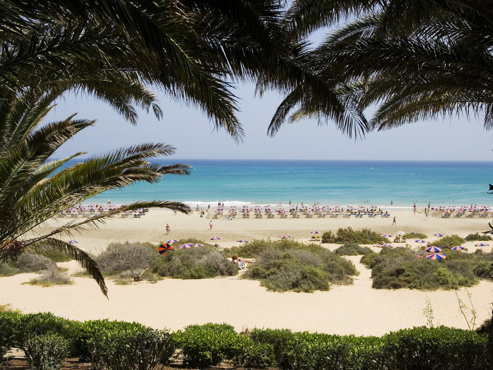 Strand