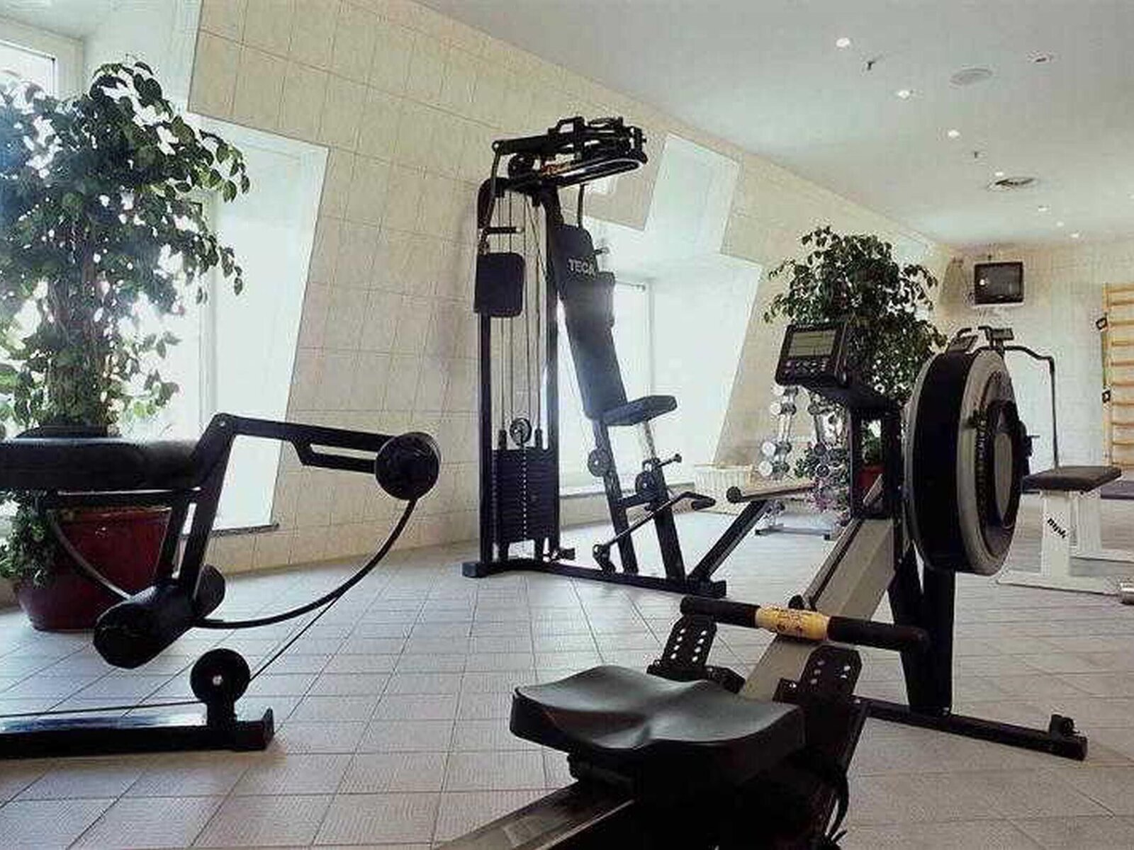 Sport