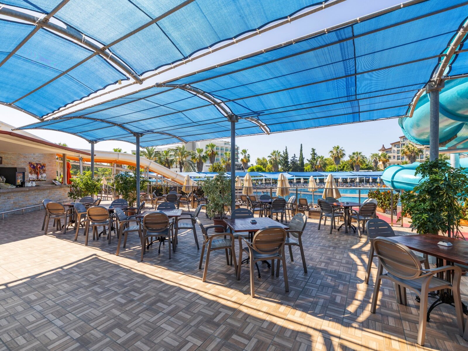 Apollon Bar