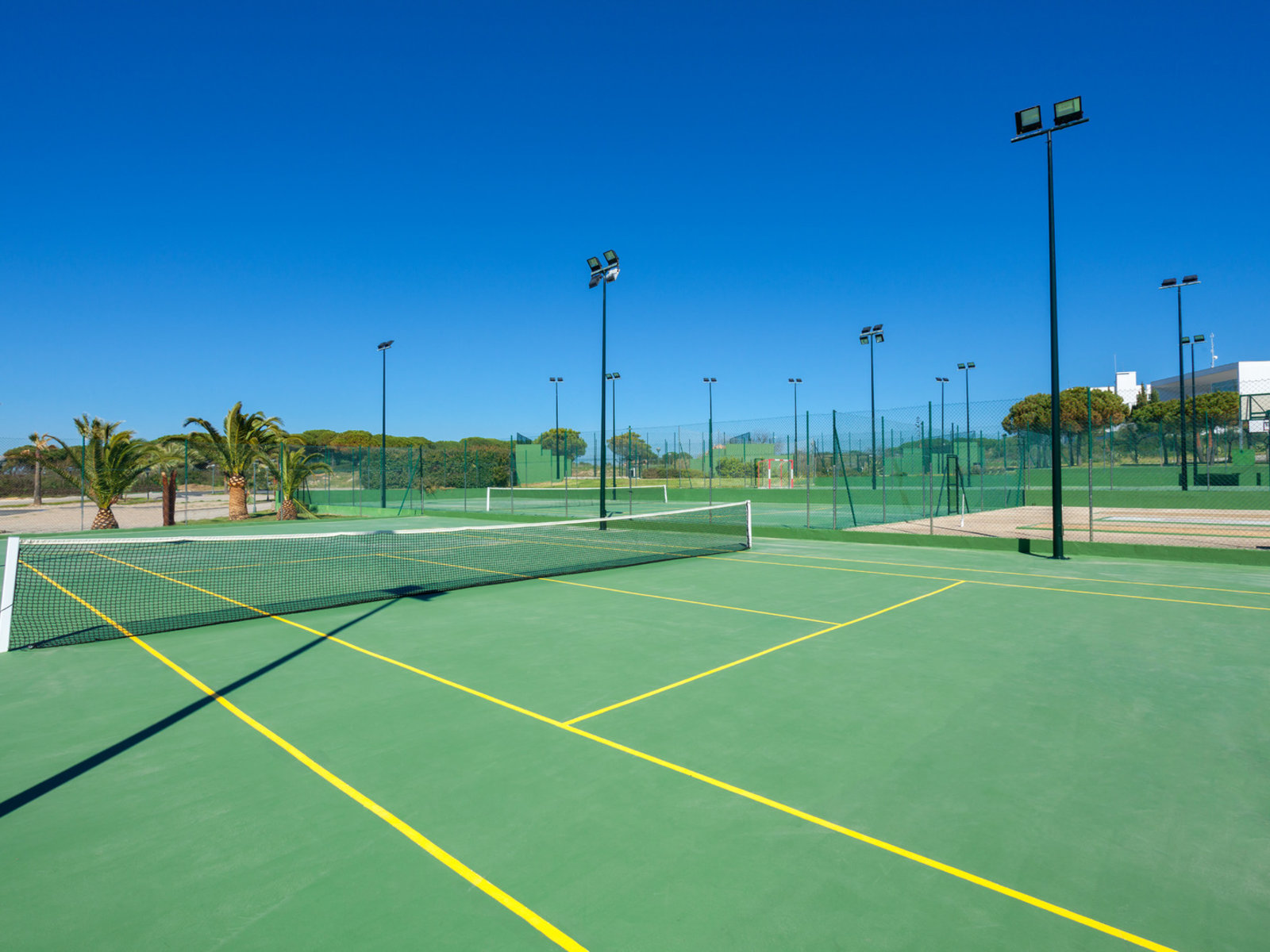 Sport