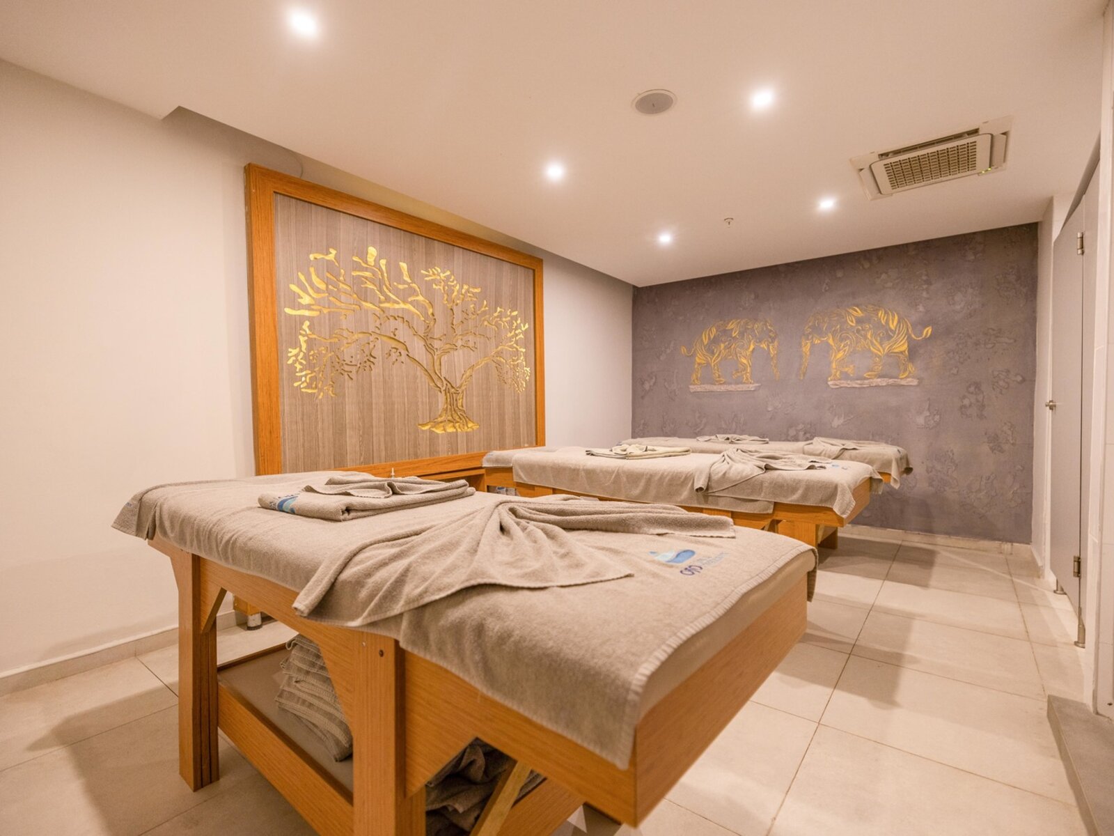 Wellness
