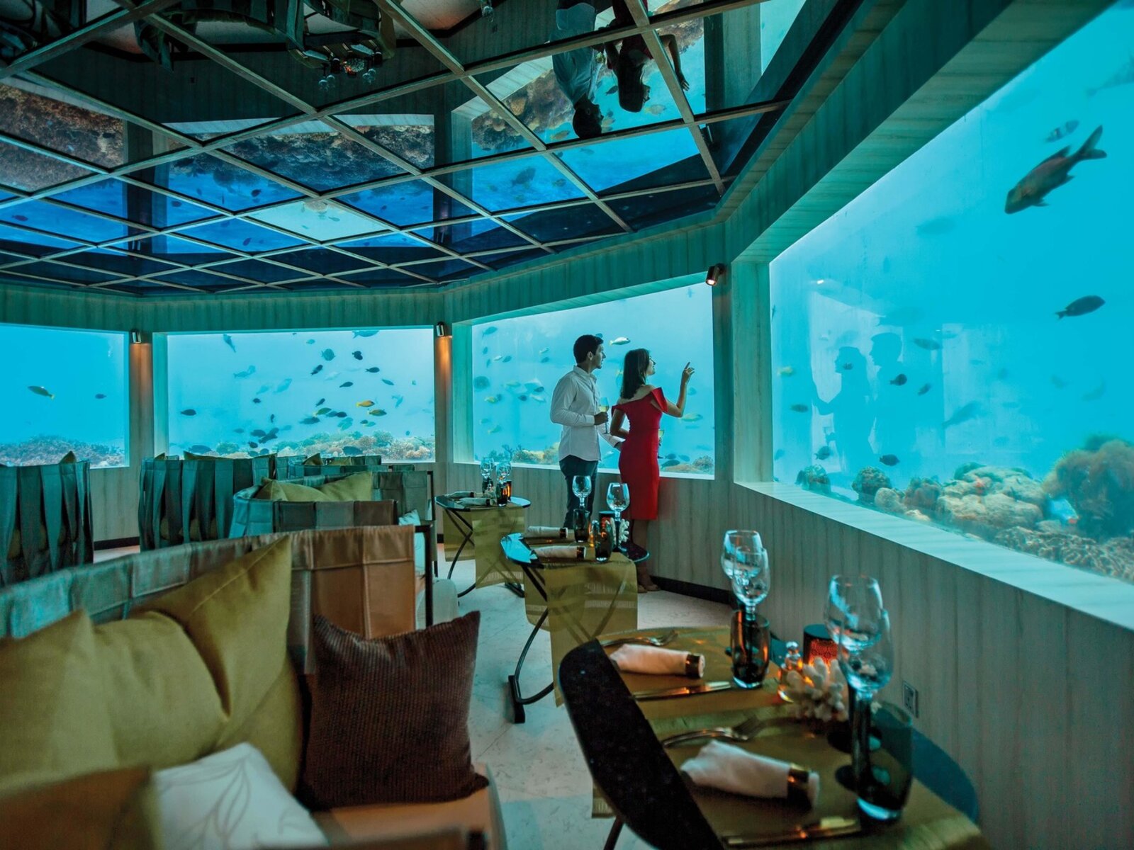 M6m - Underwater Restaurant