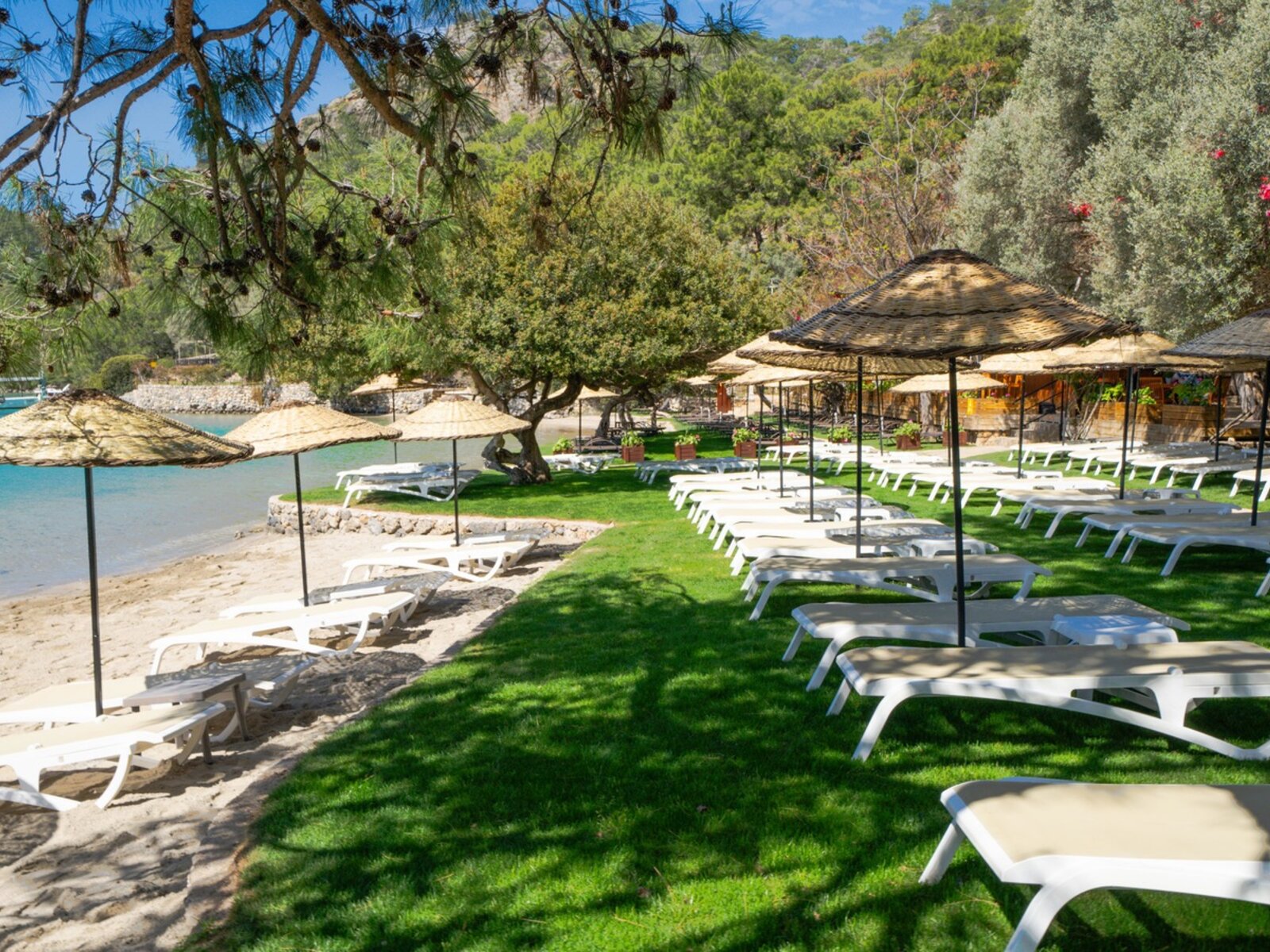 Suncity Beach Club