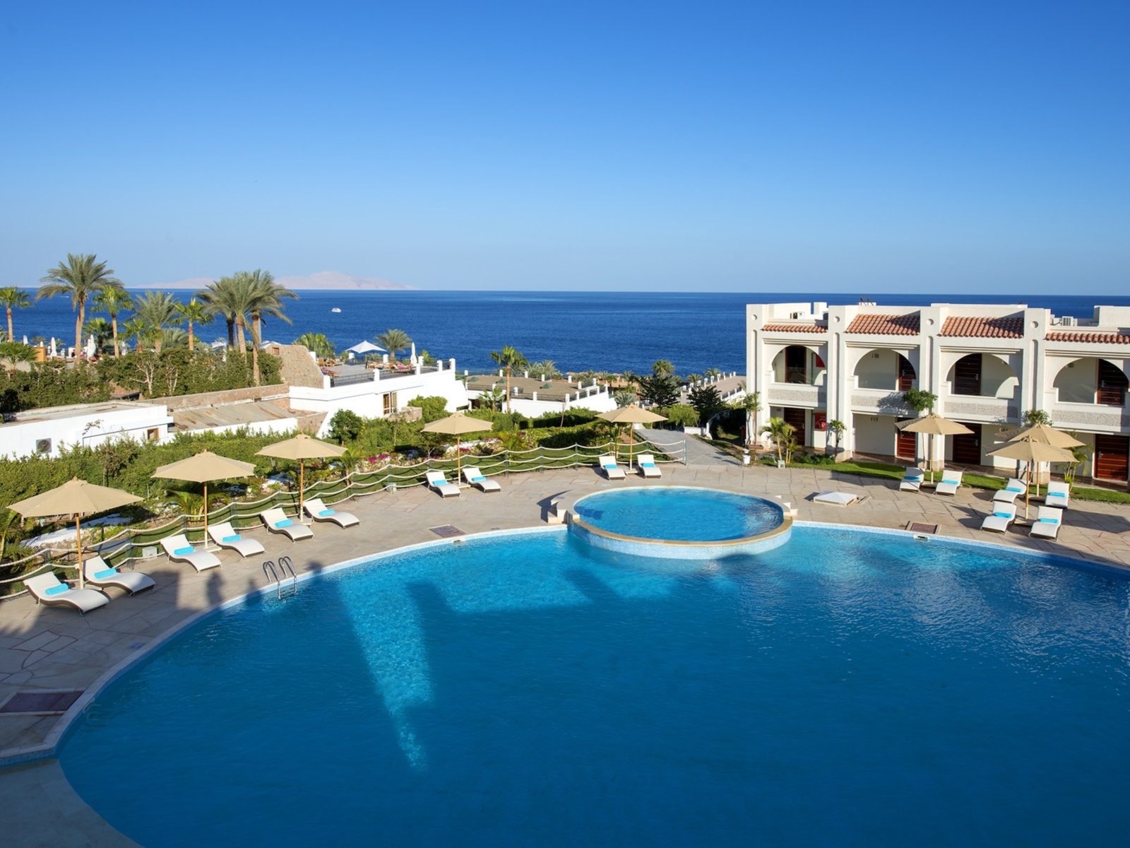 Oasis Pool (Adults only)