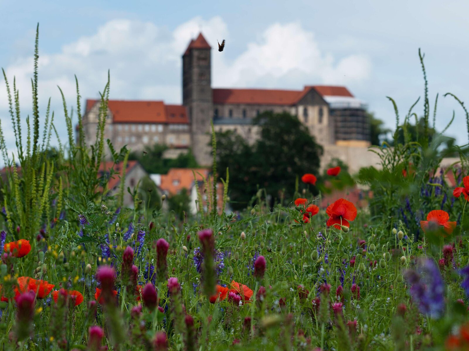 Landschaft