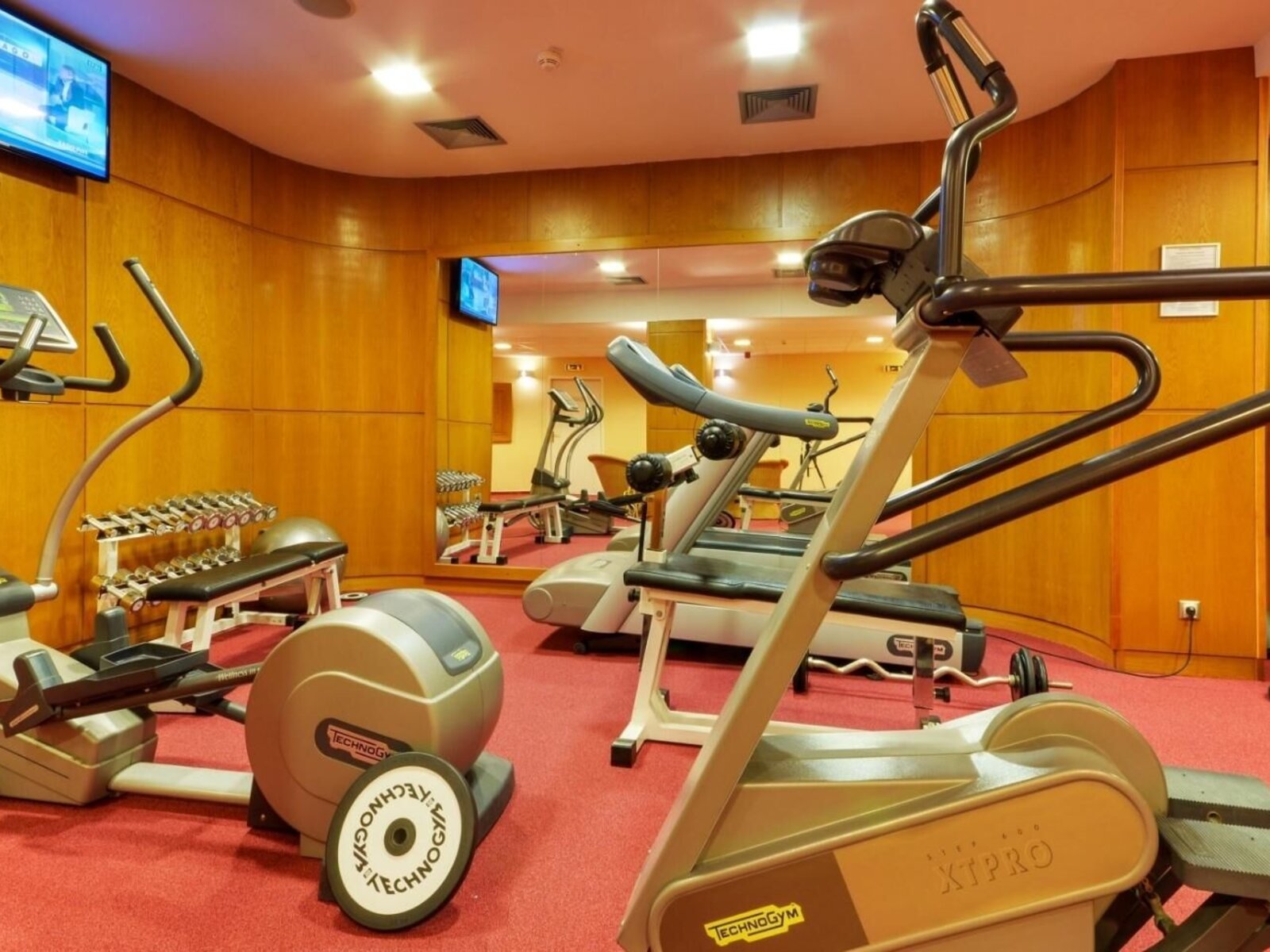 Sport