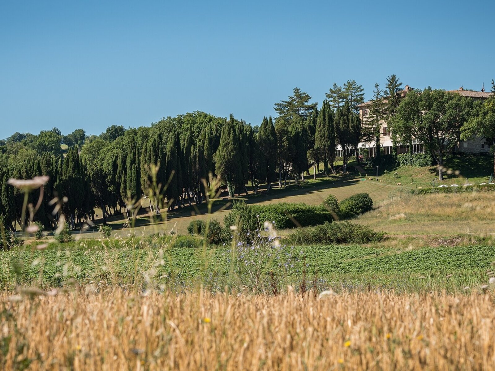 Landschaft