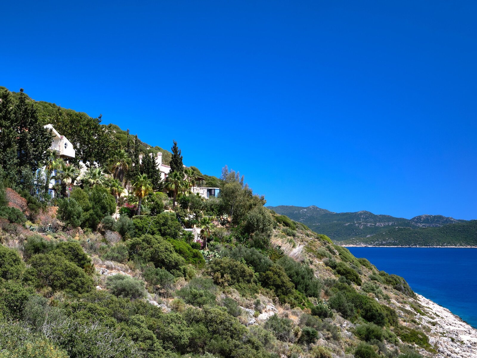 Landschaft