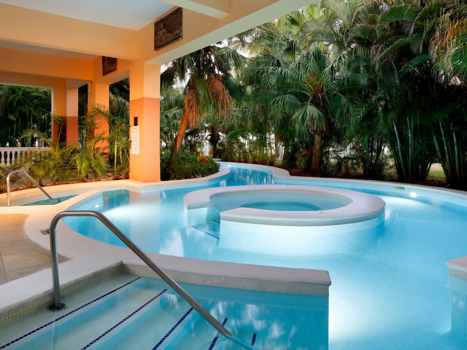 Wellness