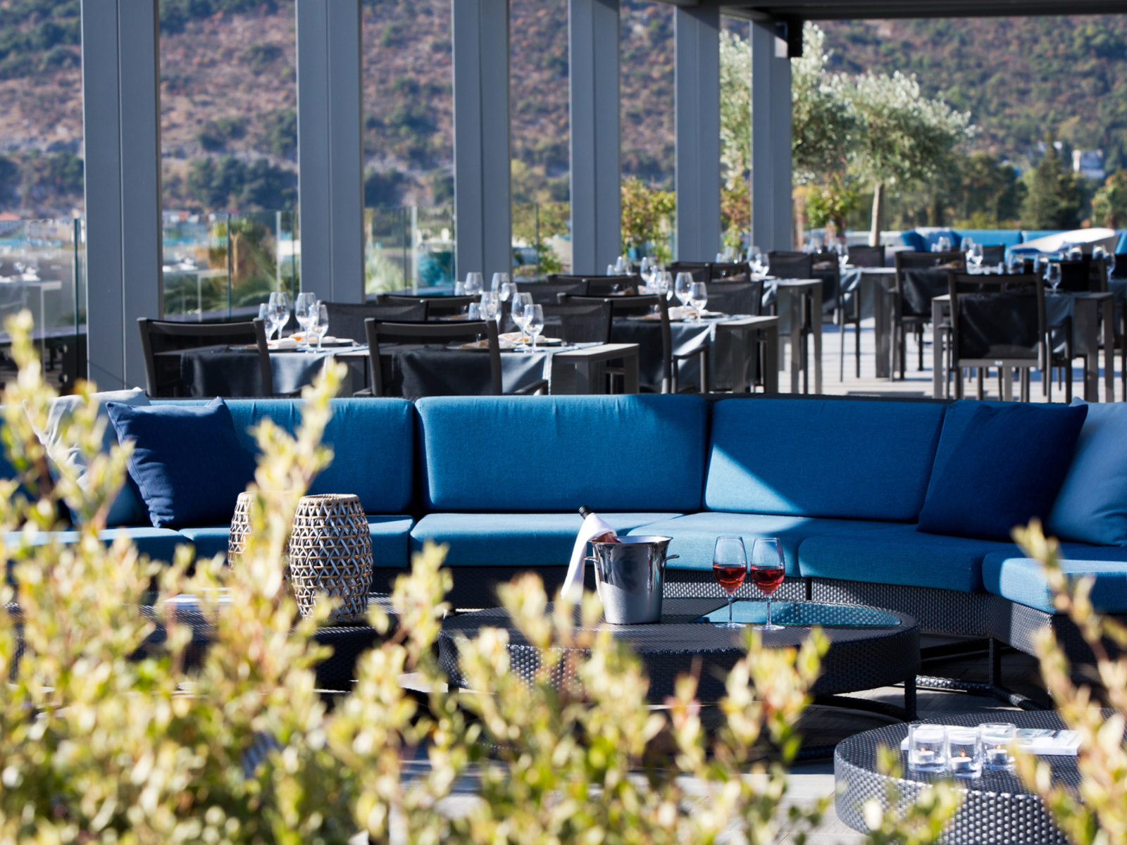 Olive Terrace