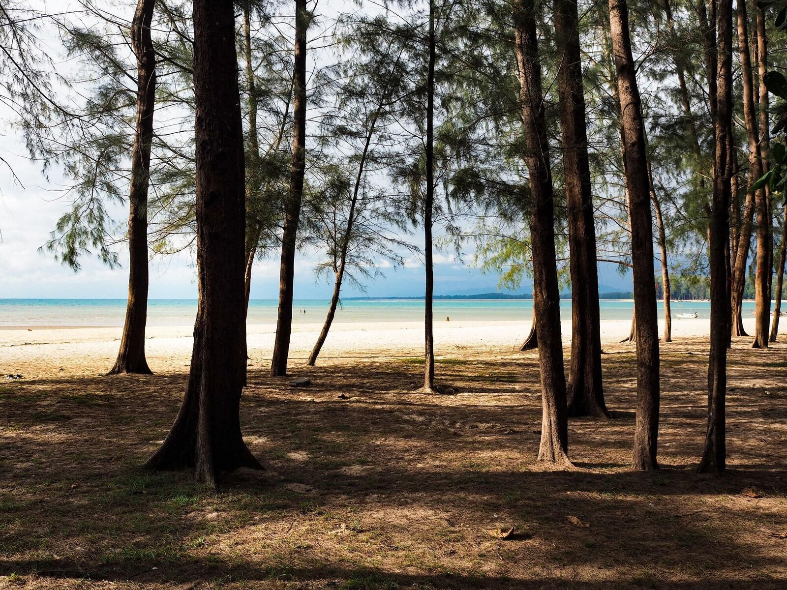 Strand