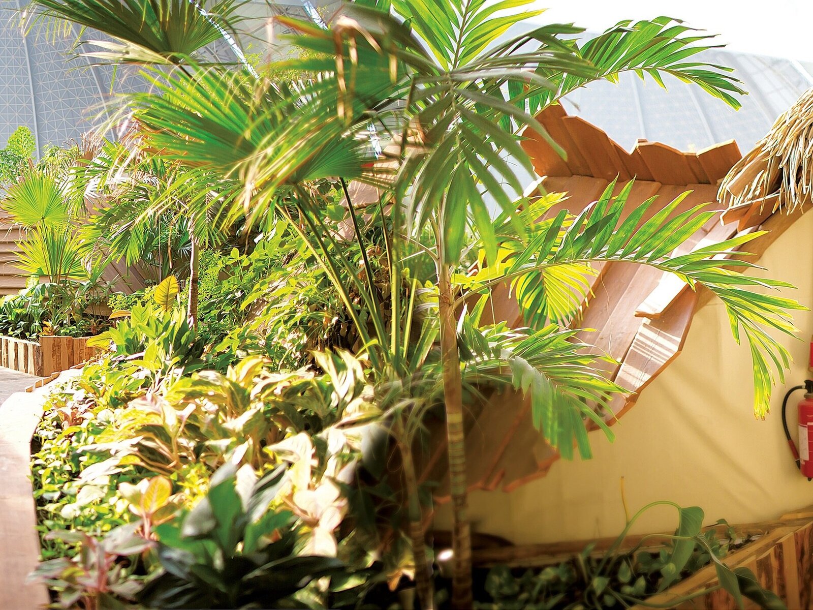 Hotel Tropical Islands Zelte in Krausnick gnstig buchen bei TUI.com
