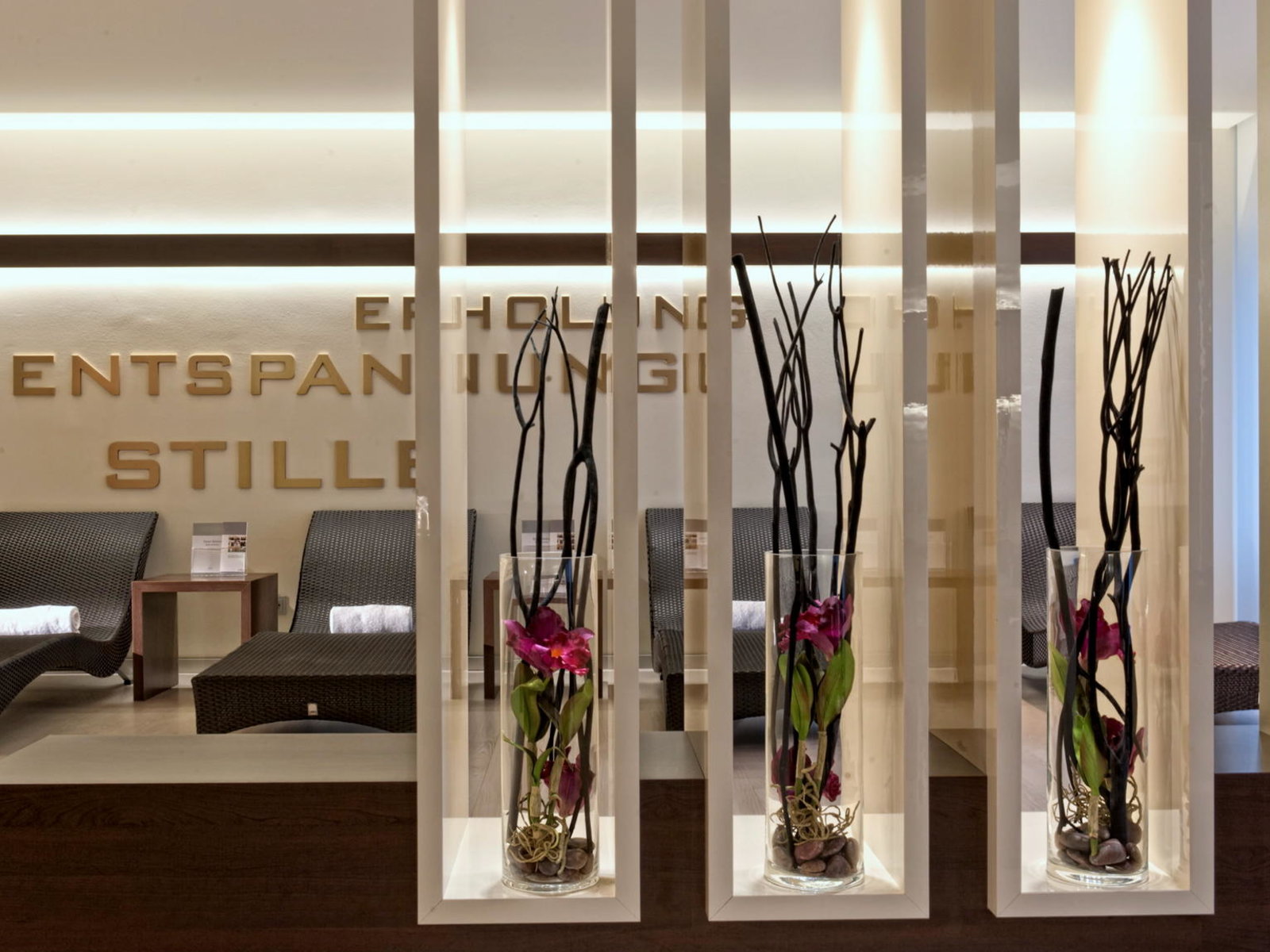 Wellness