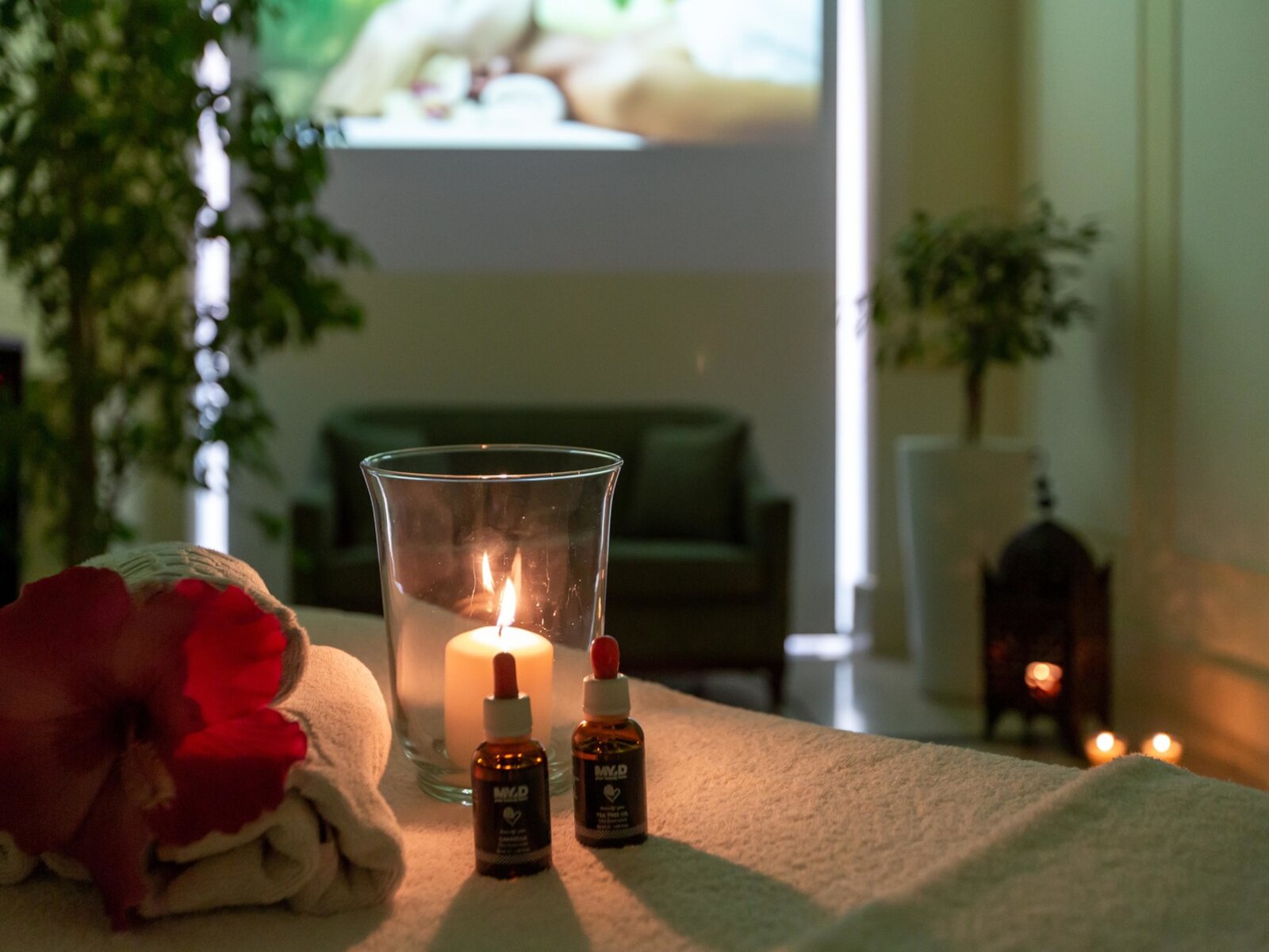 Wellness