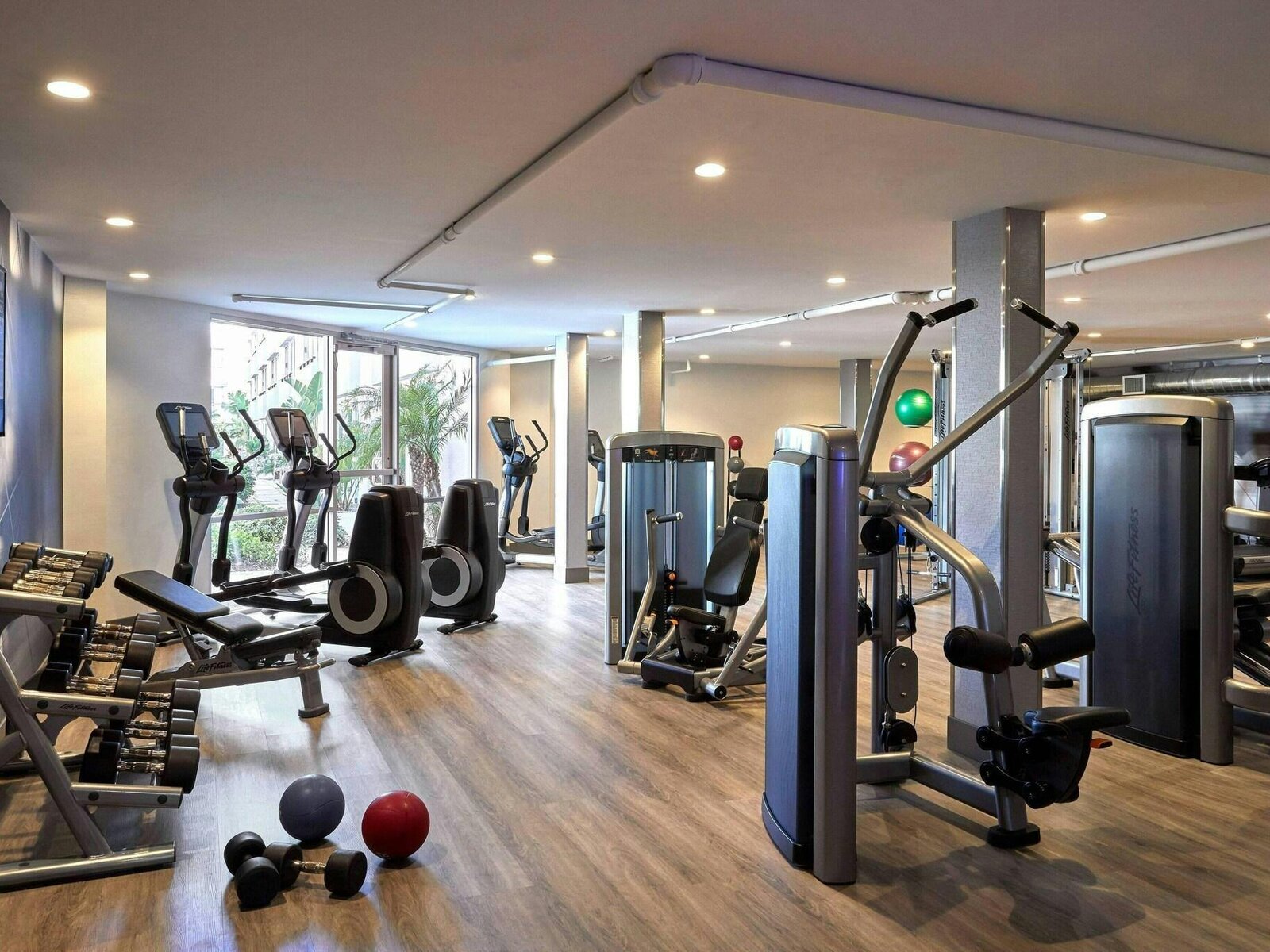 Sport