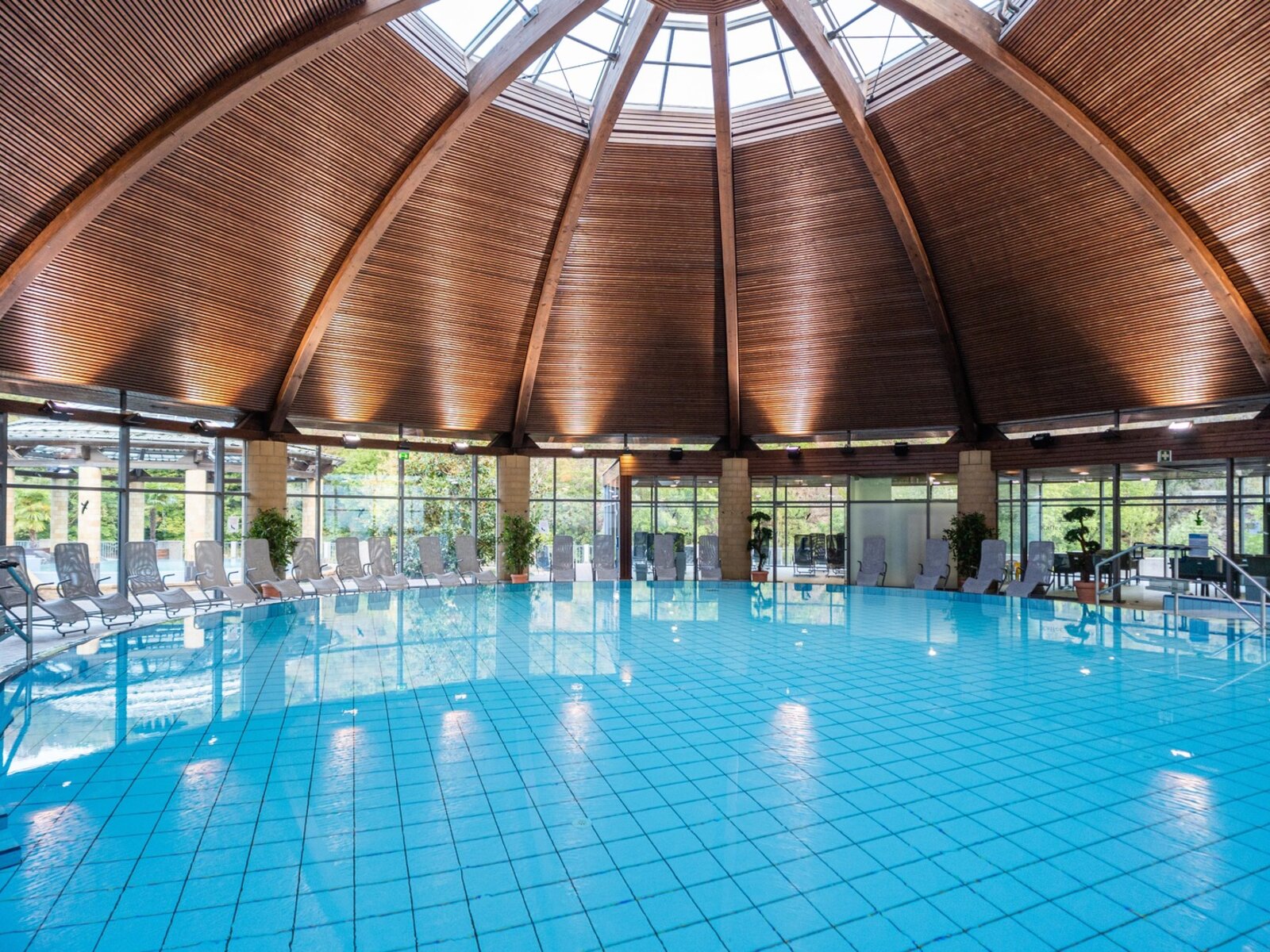 Wellness