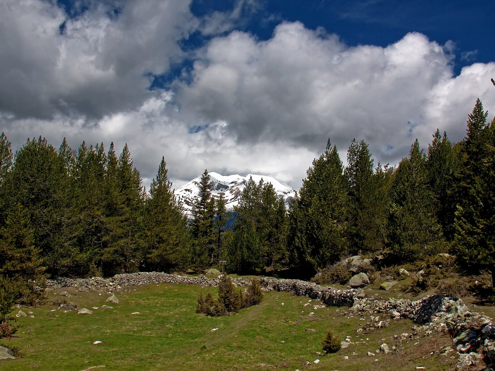 Landschaft