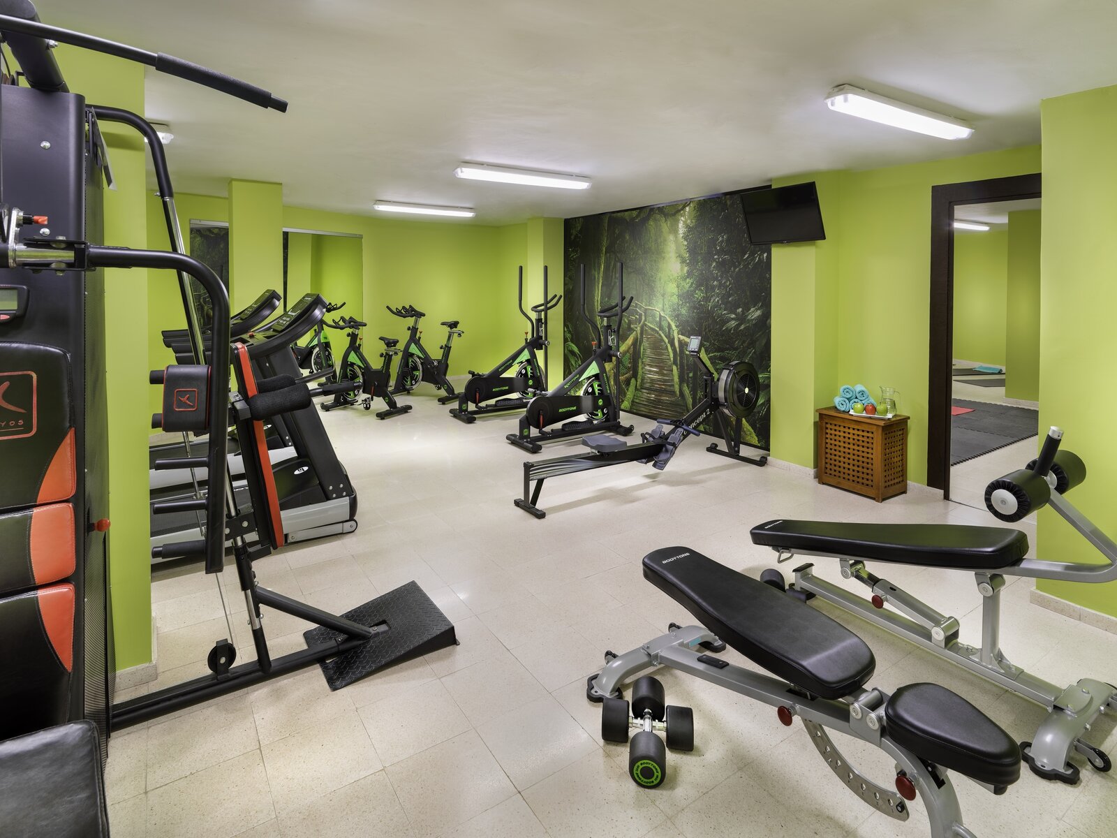 Sport