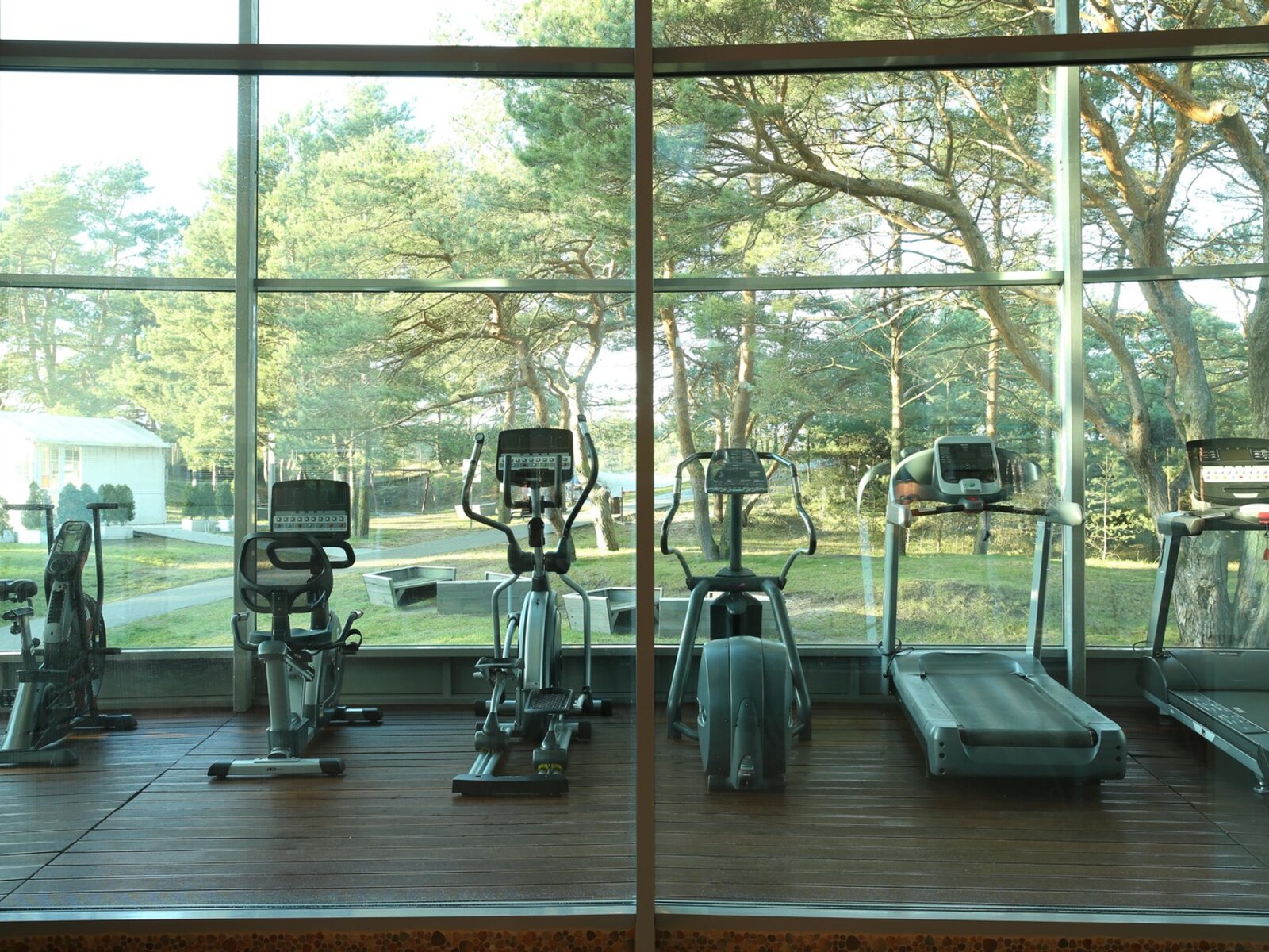 Sport