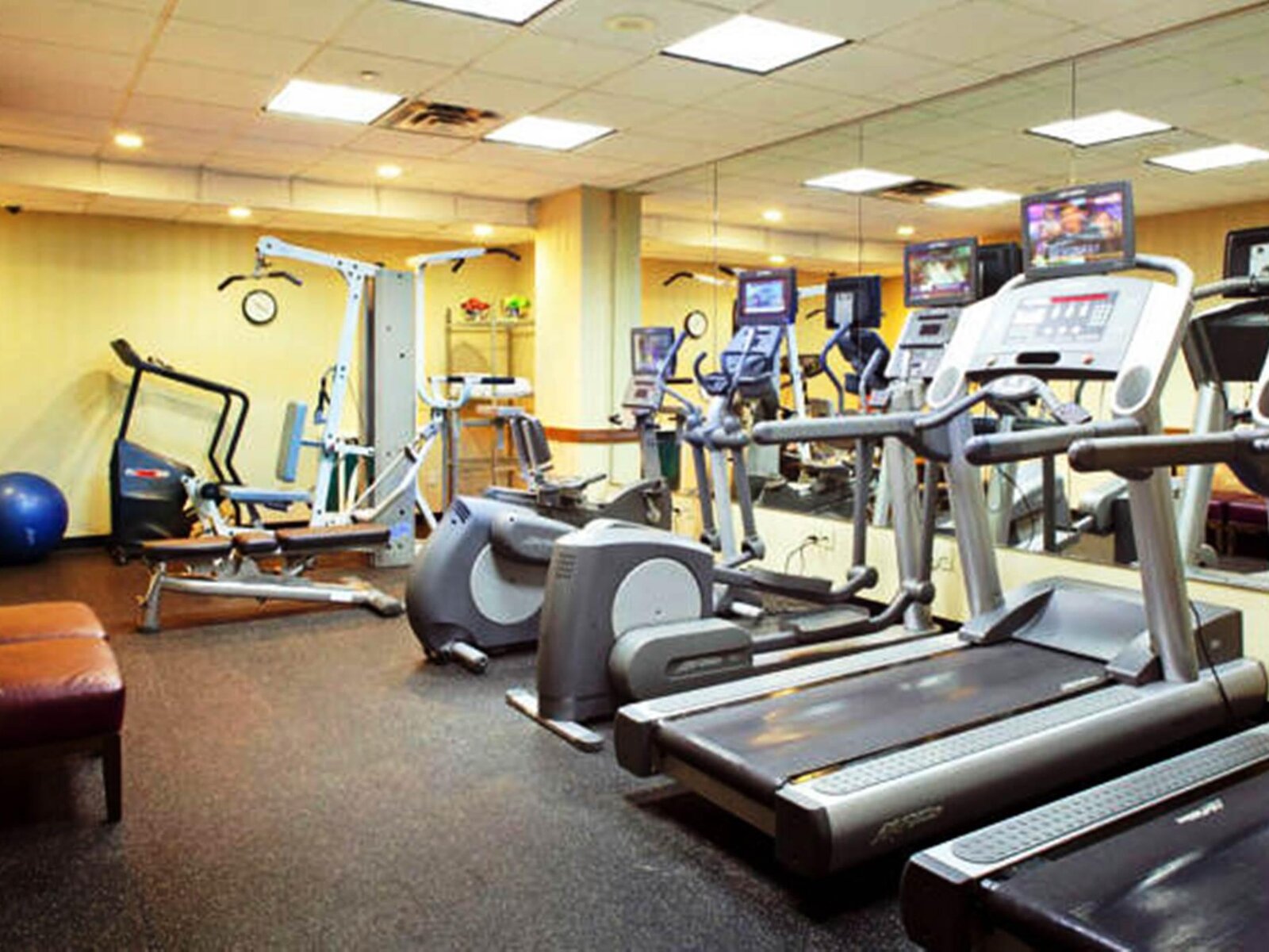 Sport