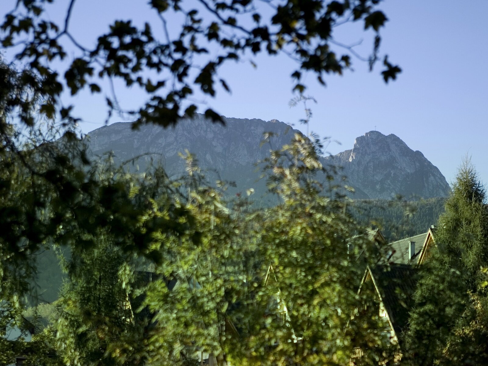 Landschaft