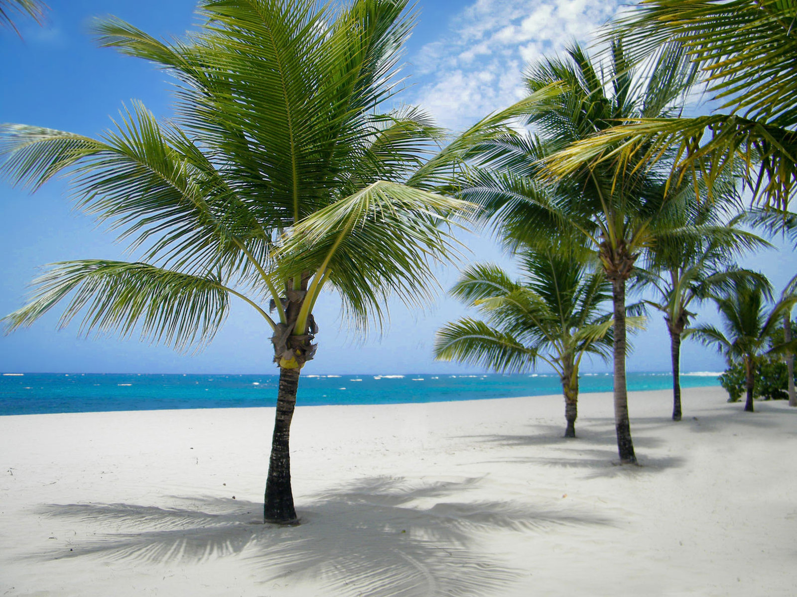 Playa Dorada