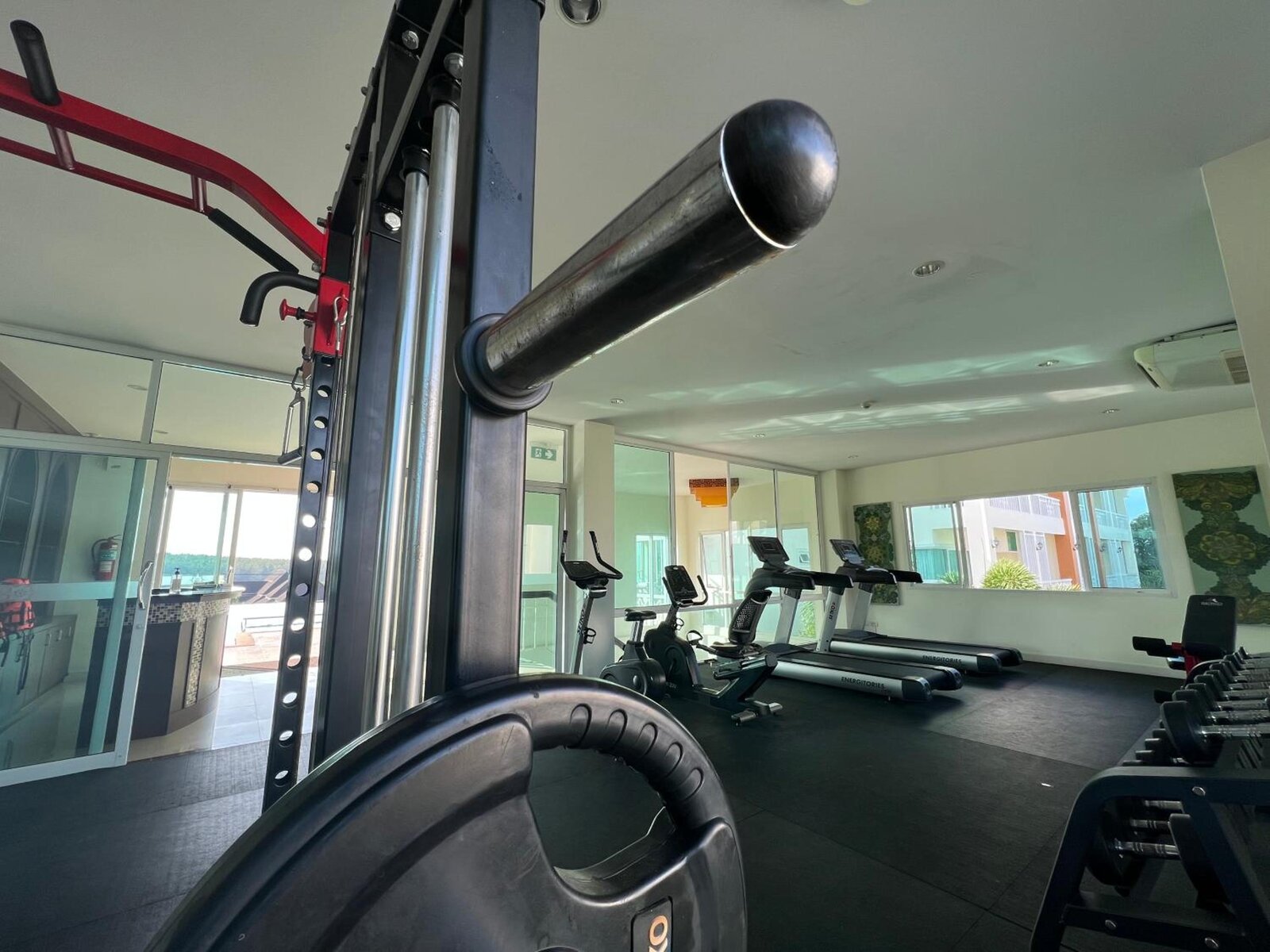 Sport