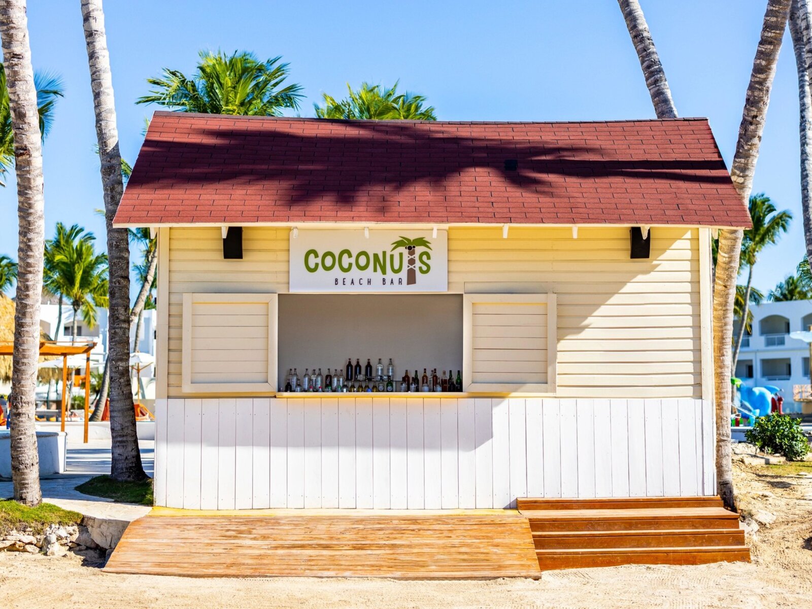 Coconuts