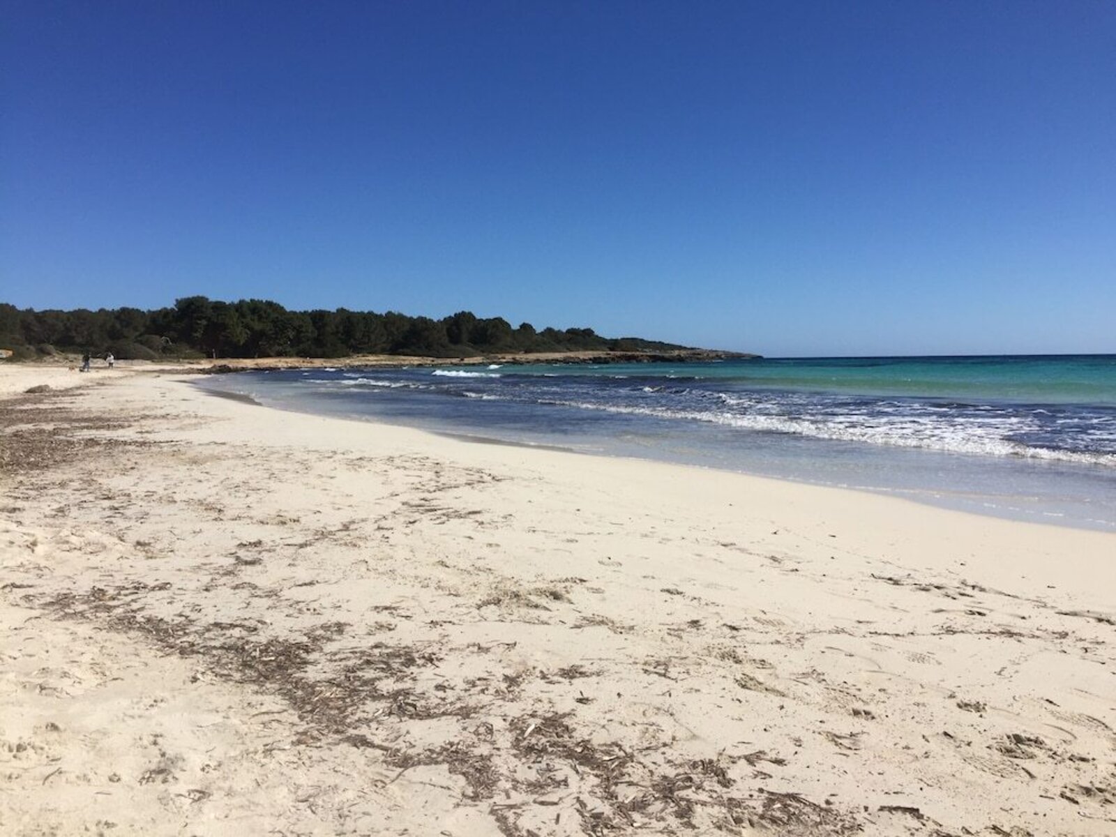 Strand