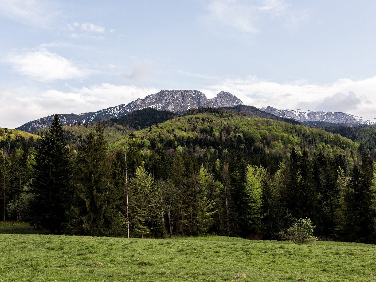 Landschaft