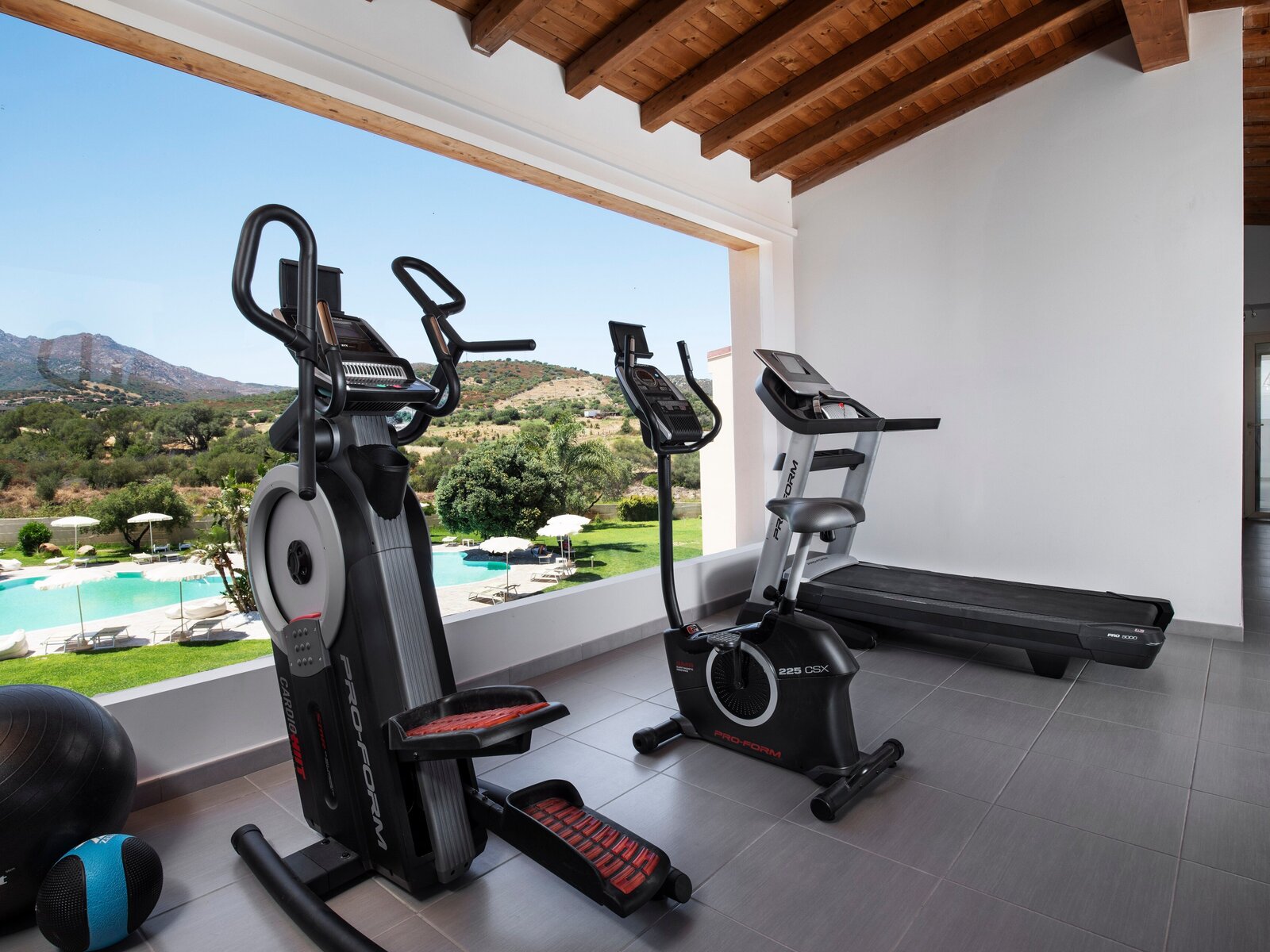 Sport