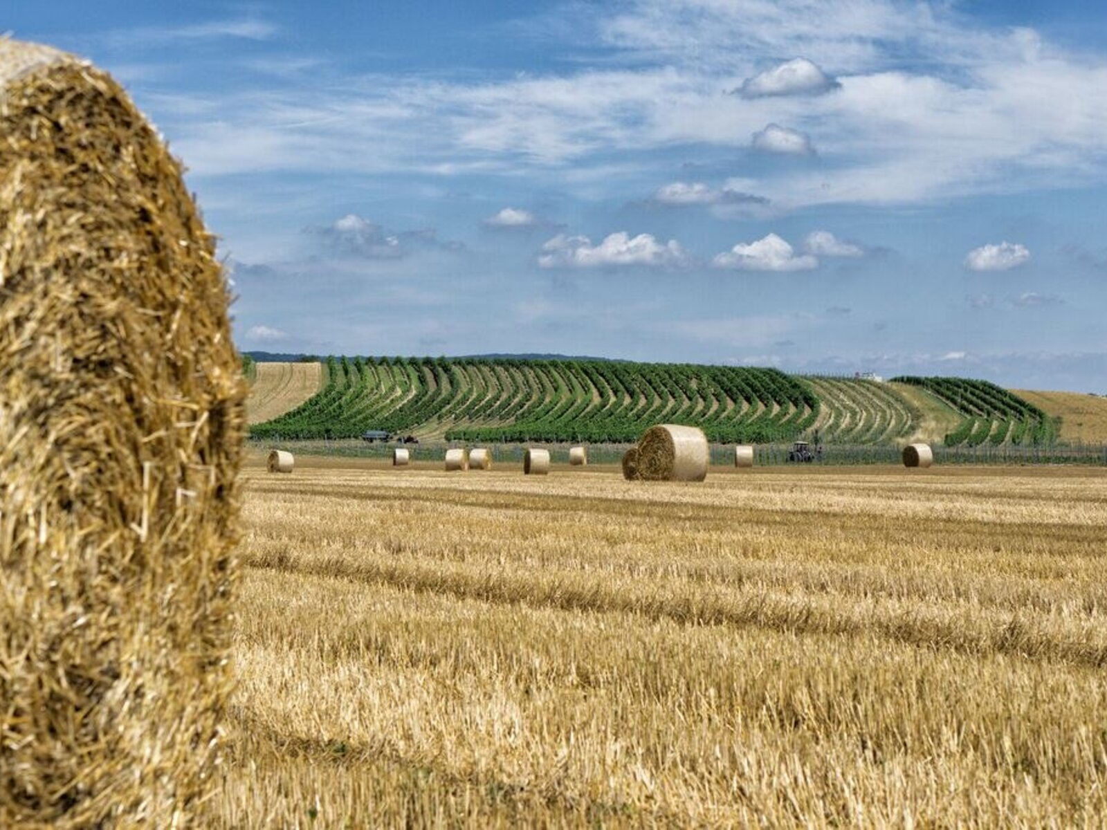 Landschaft