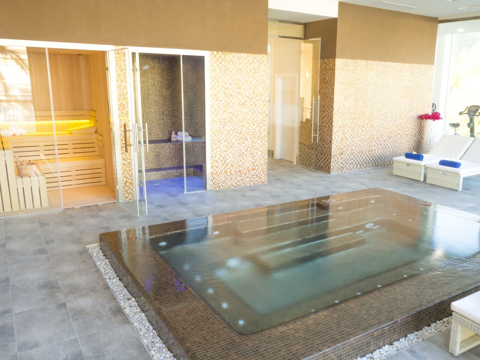 Wellness