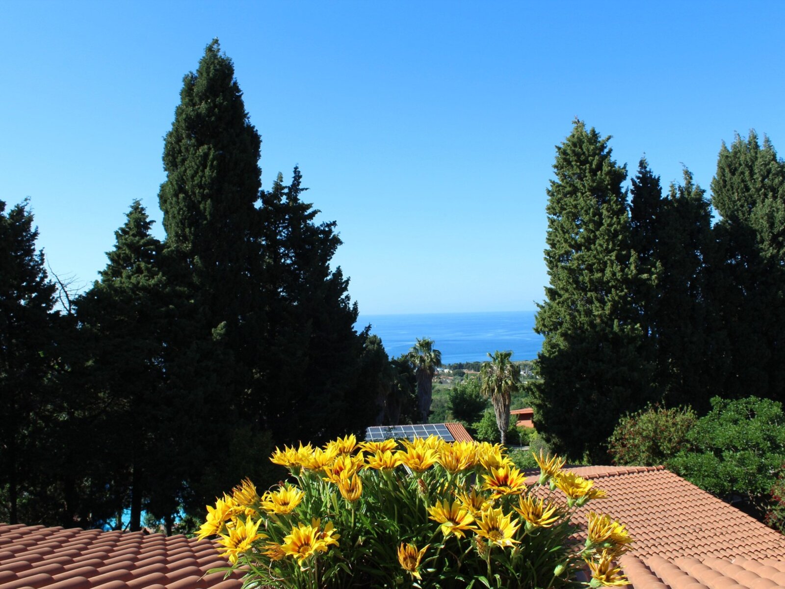 Wohnbeispiel Twin room Garden View