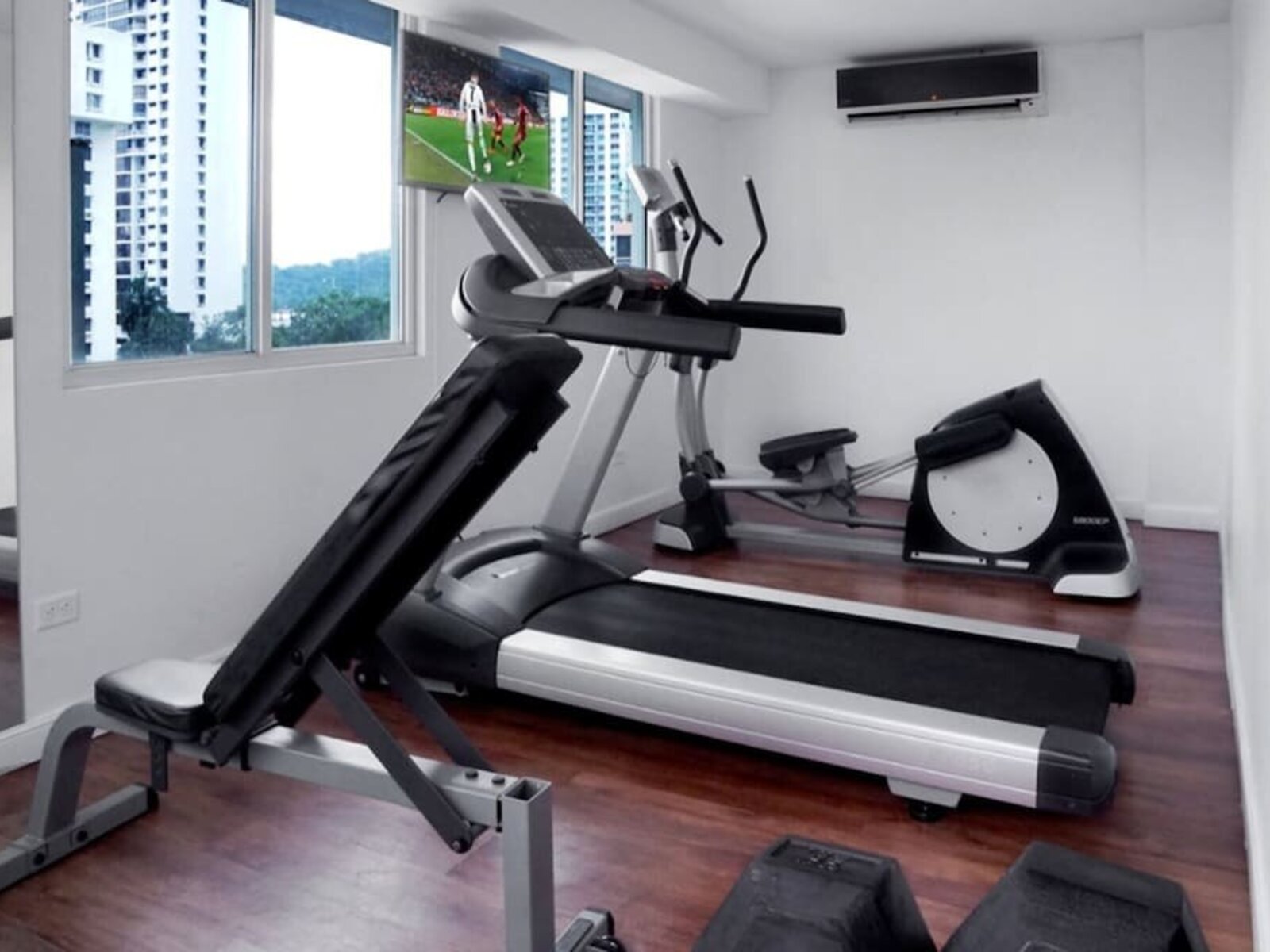 Sport