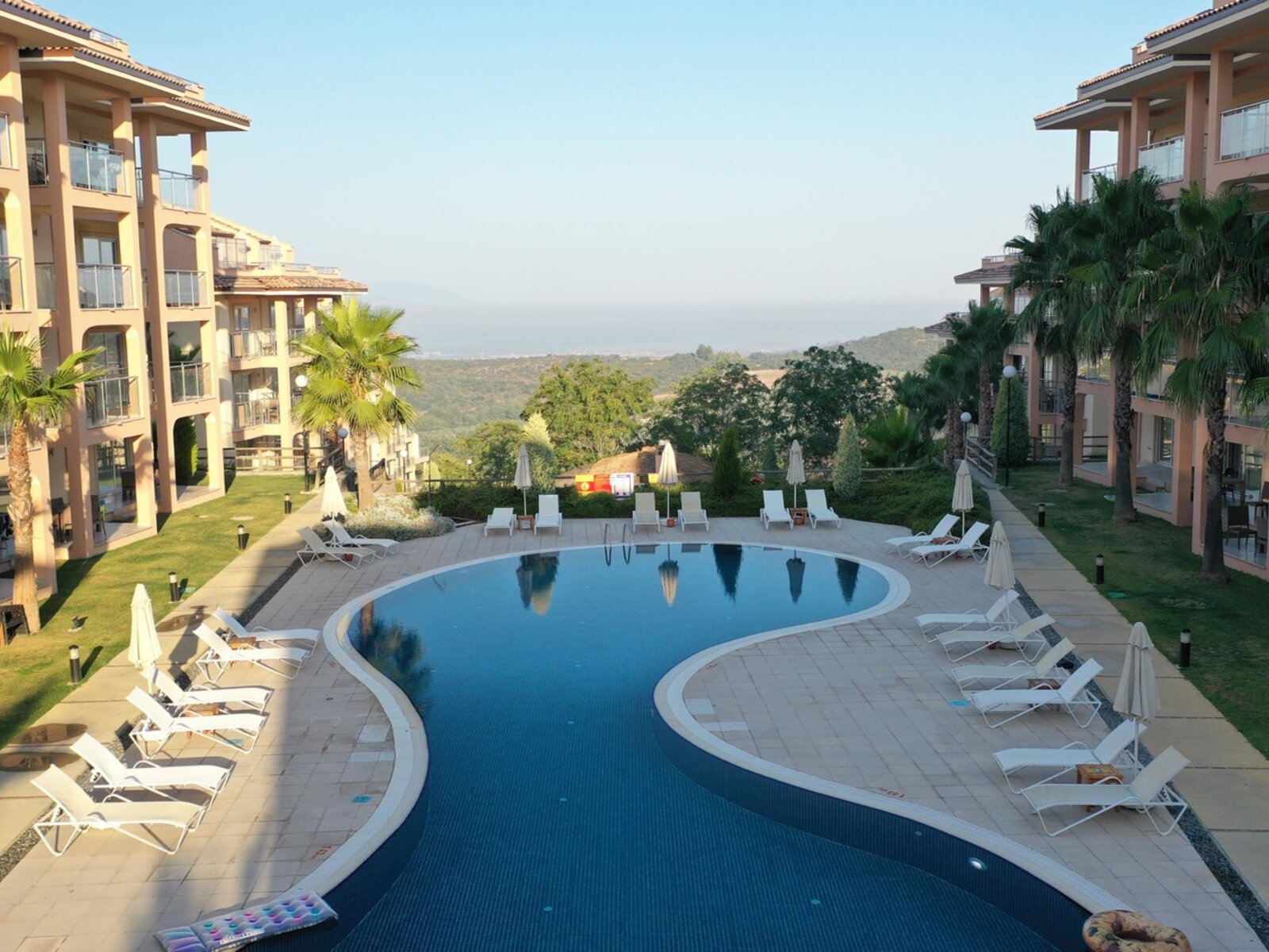 Olives Pool