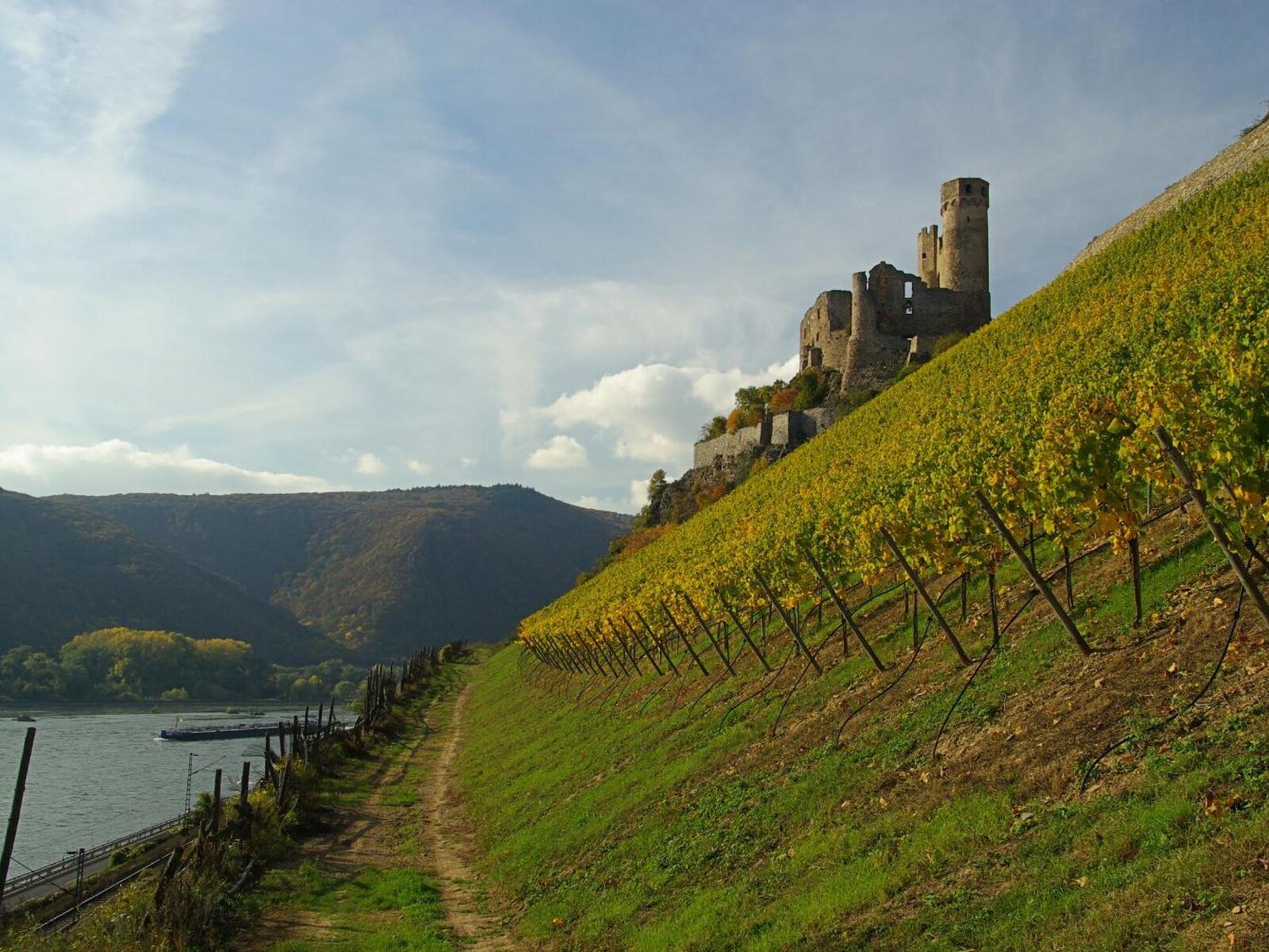 Landschaft