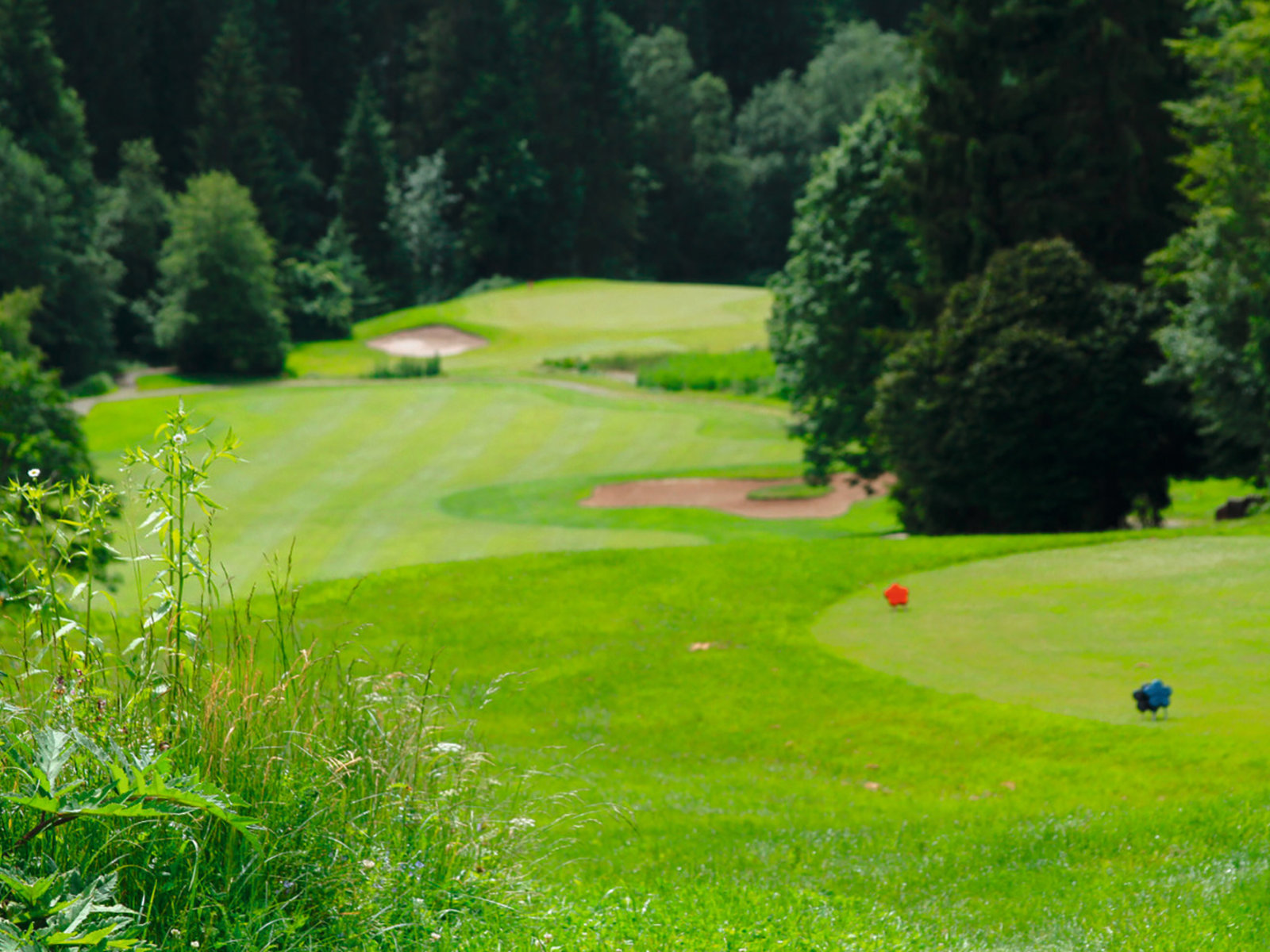 Golf