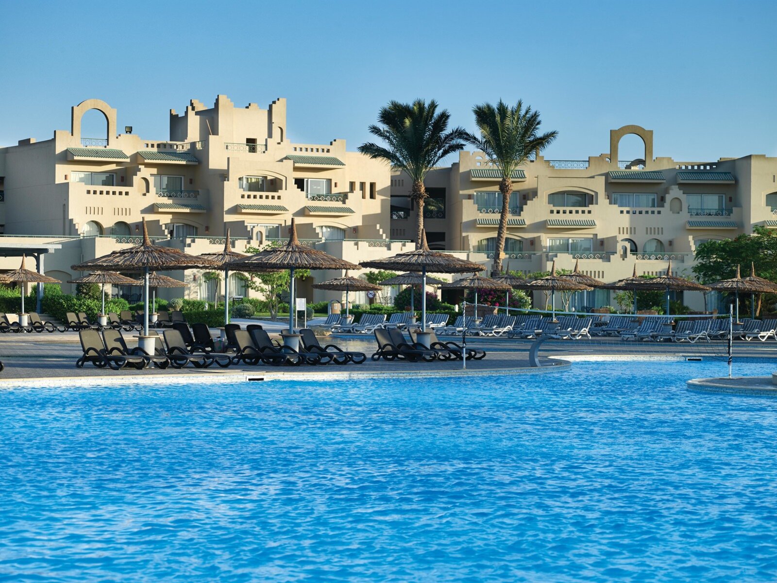 Palms Pool