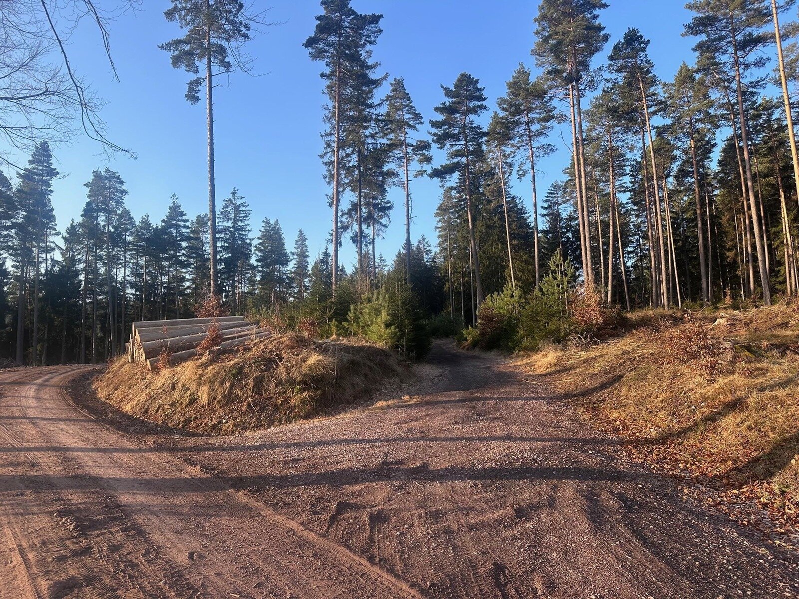 Landschaft