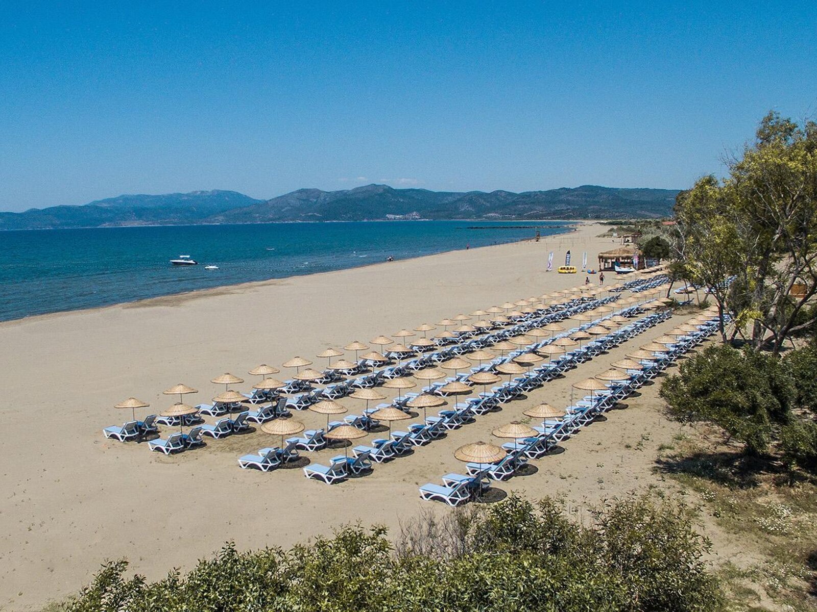 Strand