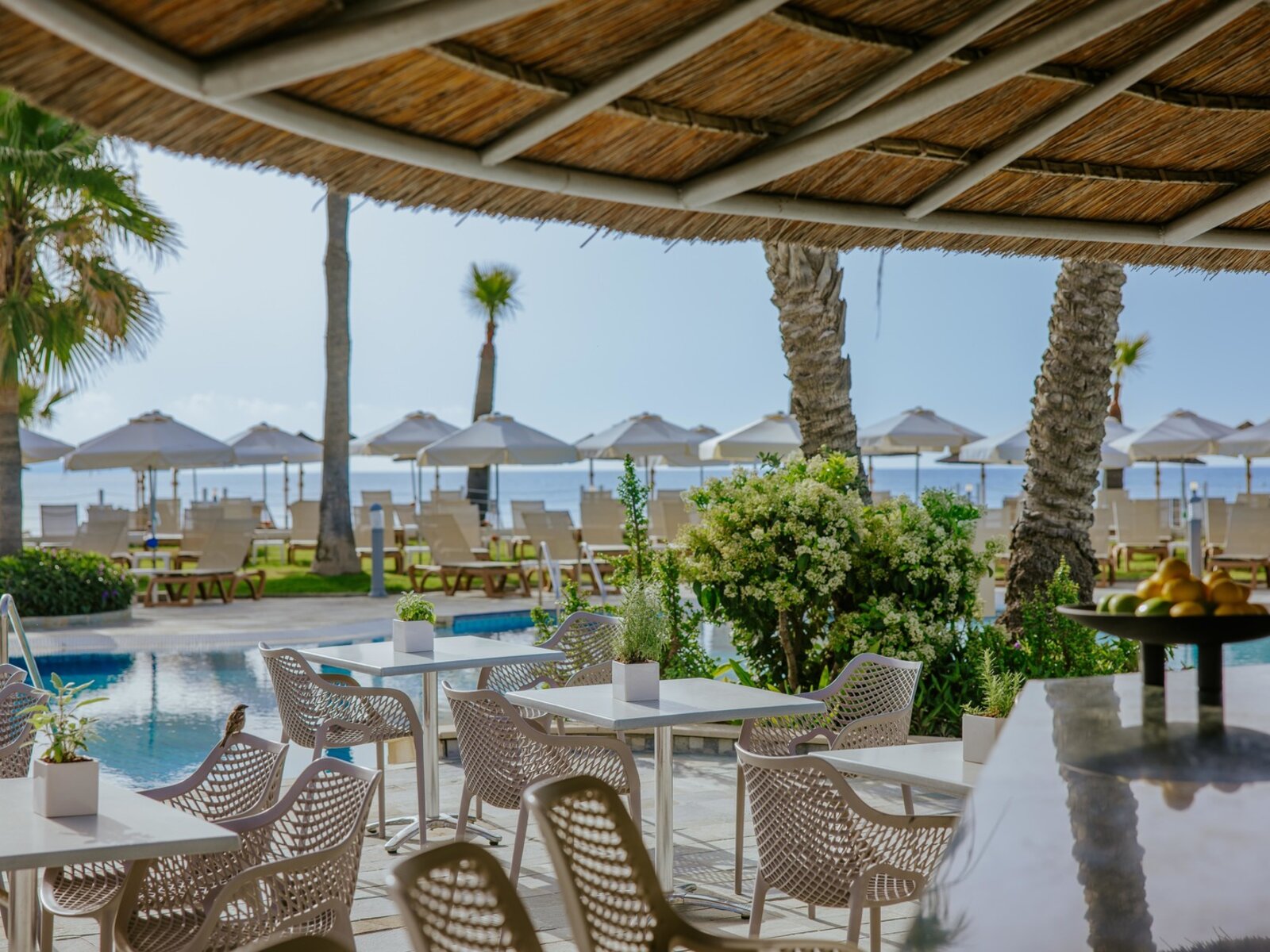 The Pool Bar