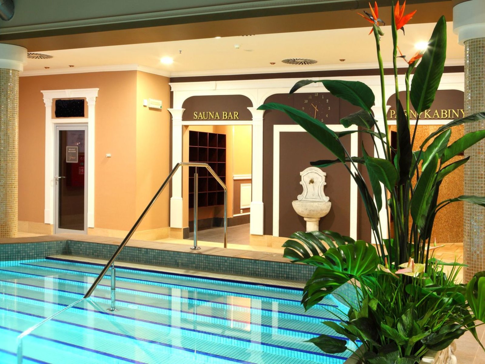 Wellness