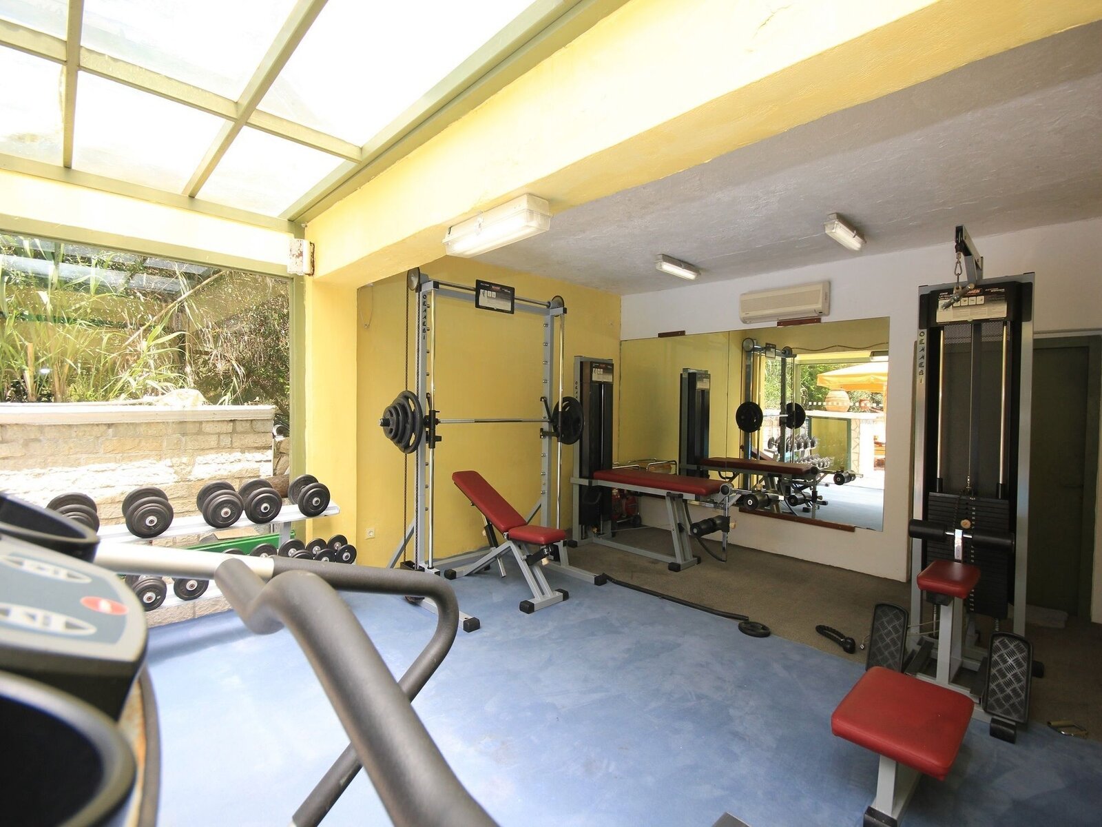 Sport