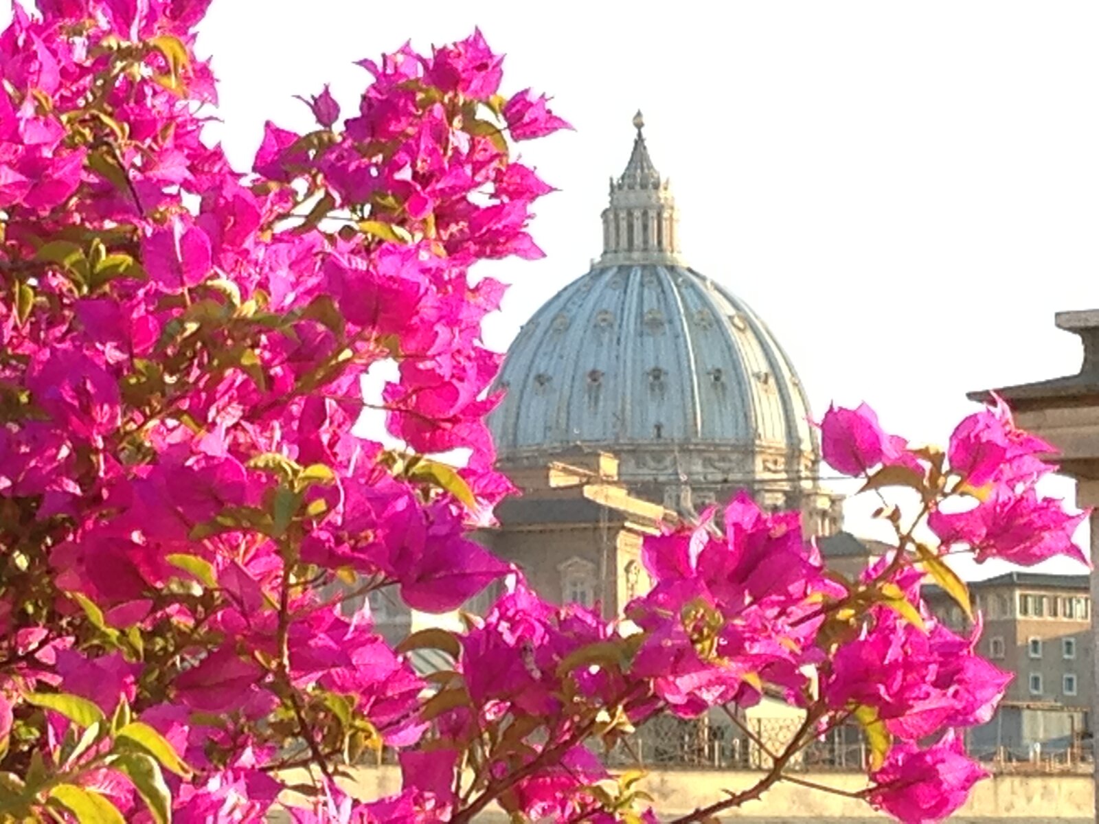 Dei Consoli Roma ★★★★ Rom Urlaub inkl. Flug » ltur