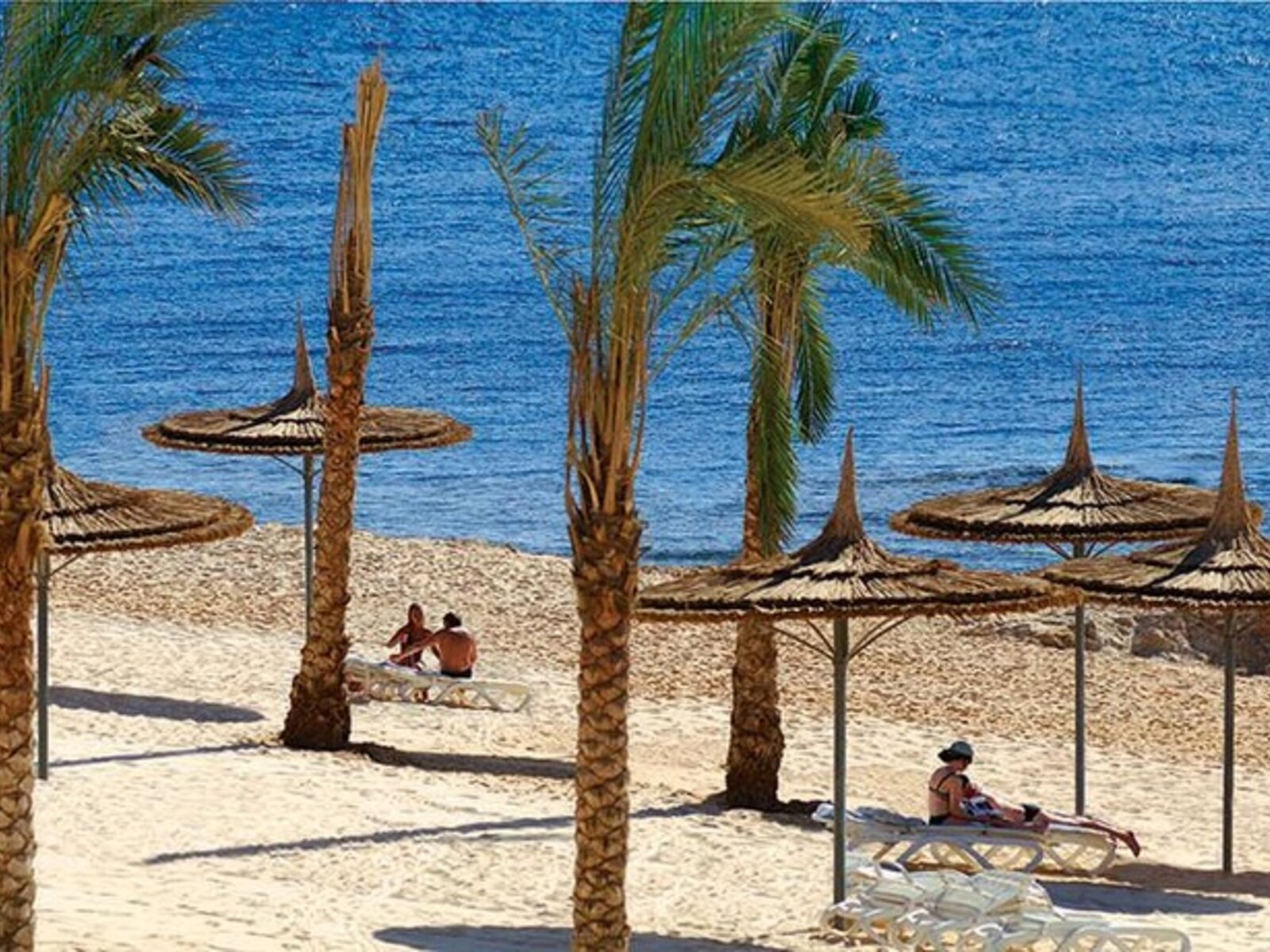 Hotel Reef Oasis Suakin Resort In Marsa Alam G Nstig Buchen Bei TUI Com   64da2453 C536 475c 9f9b 1b7bf3739132 