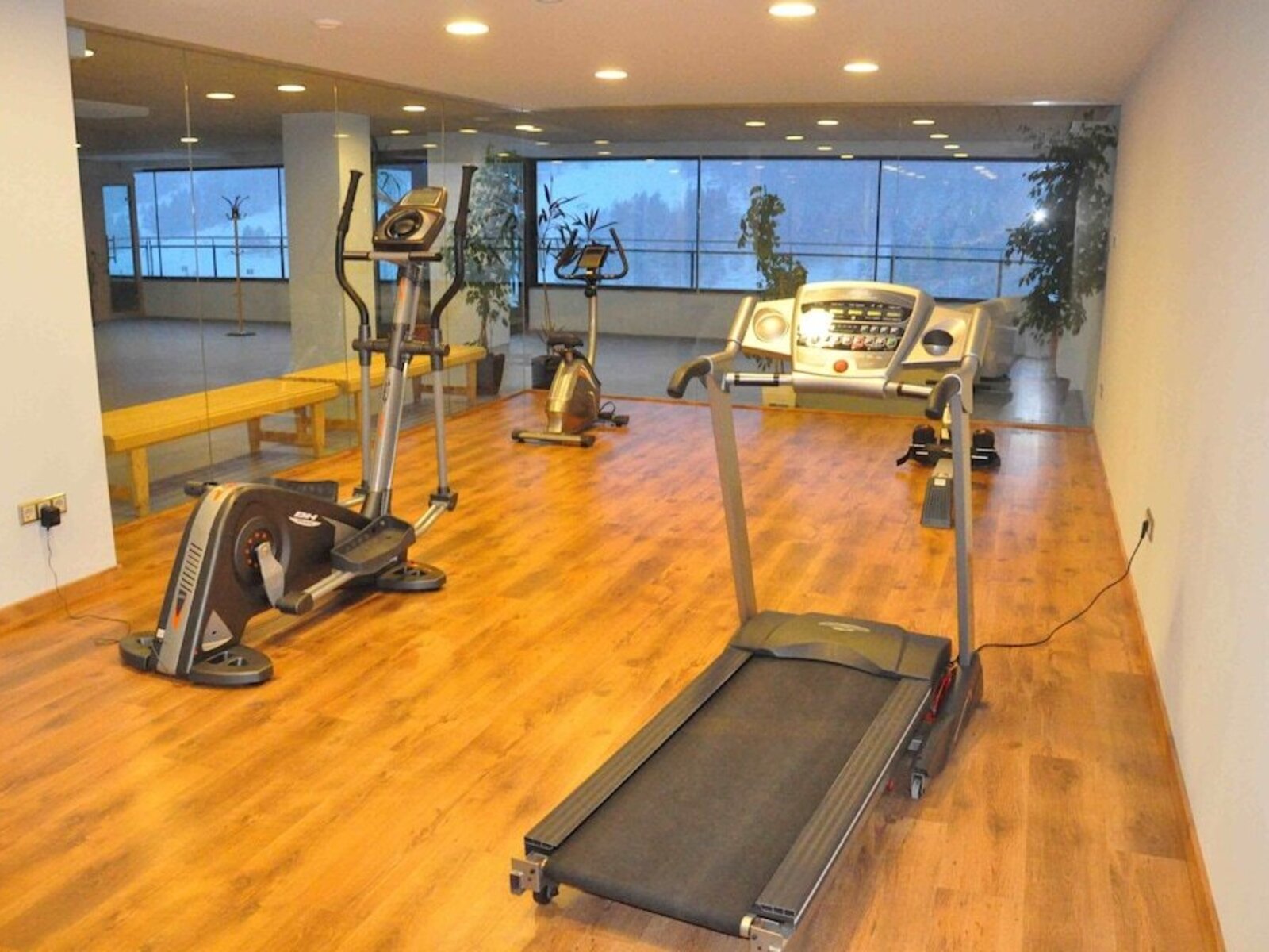 Sport